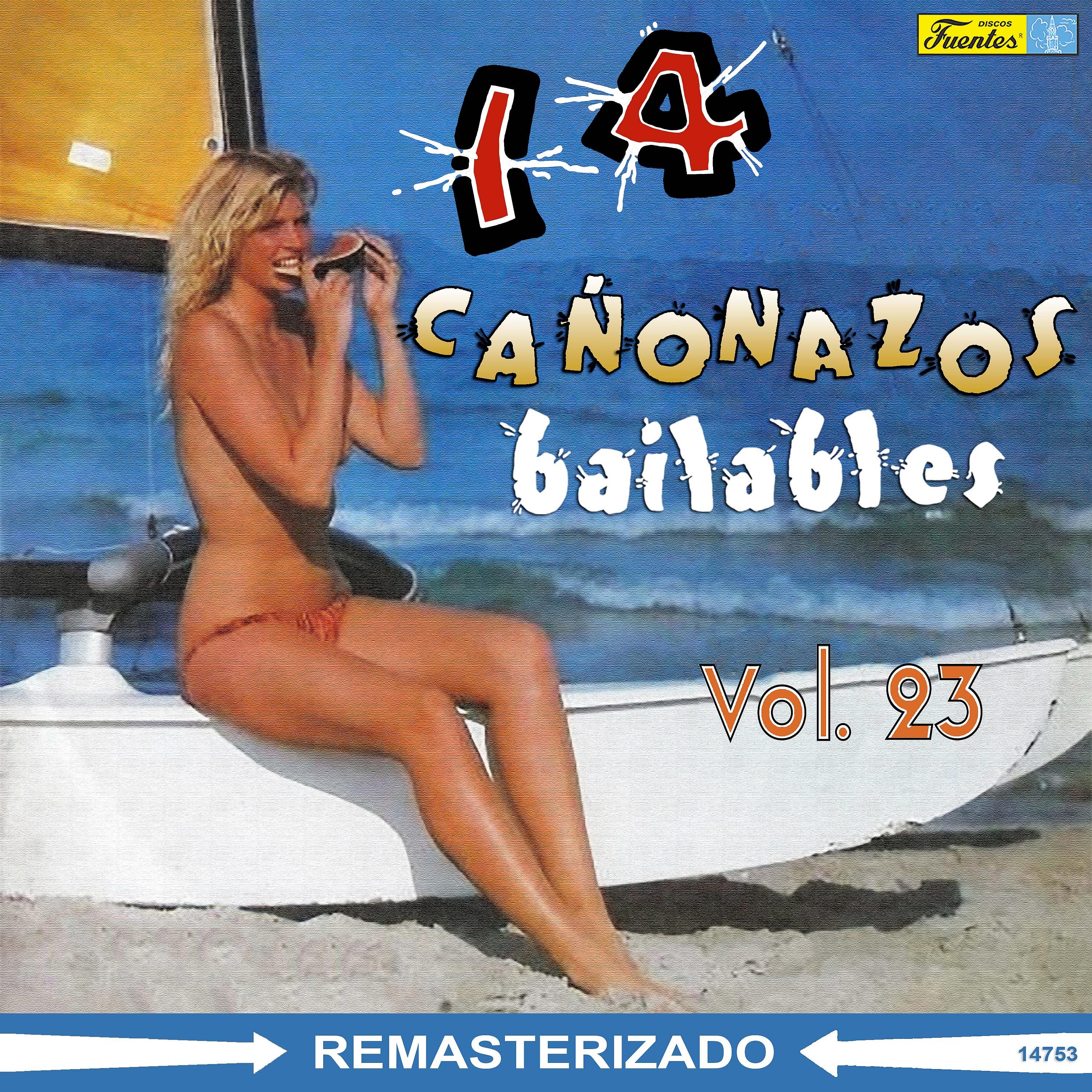 Постер альбома 14 Cañonazos Bailables, Vol. 23
