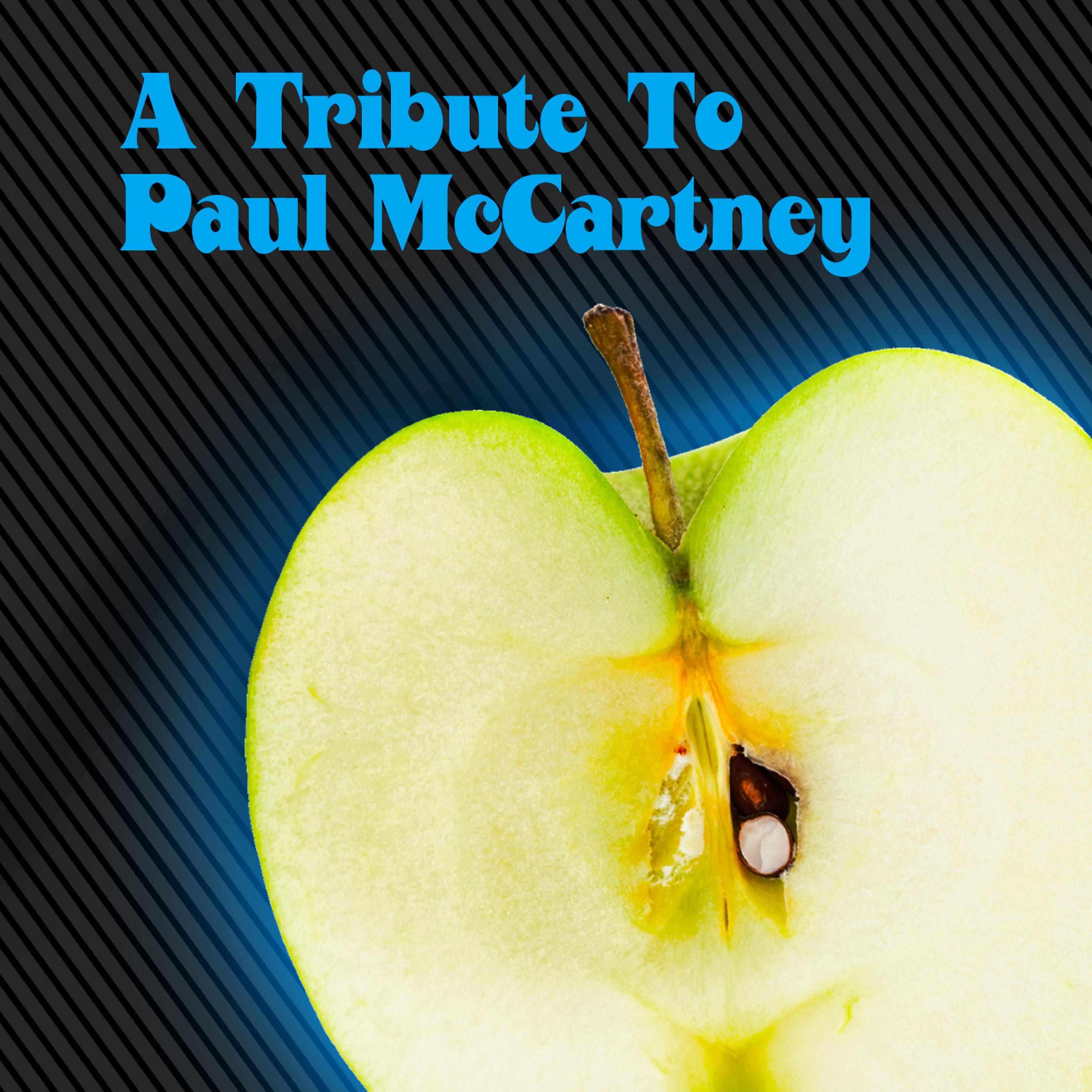 Постер альбома A Tribute To Paul McCartney