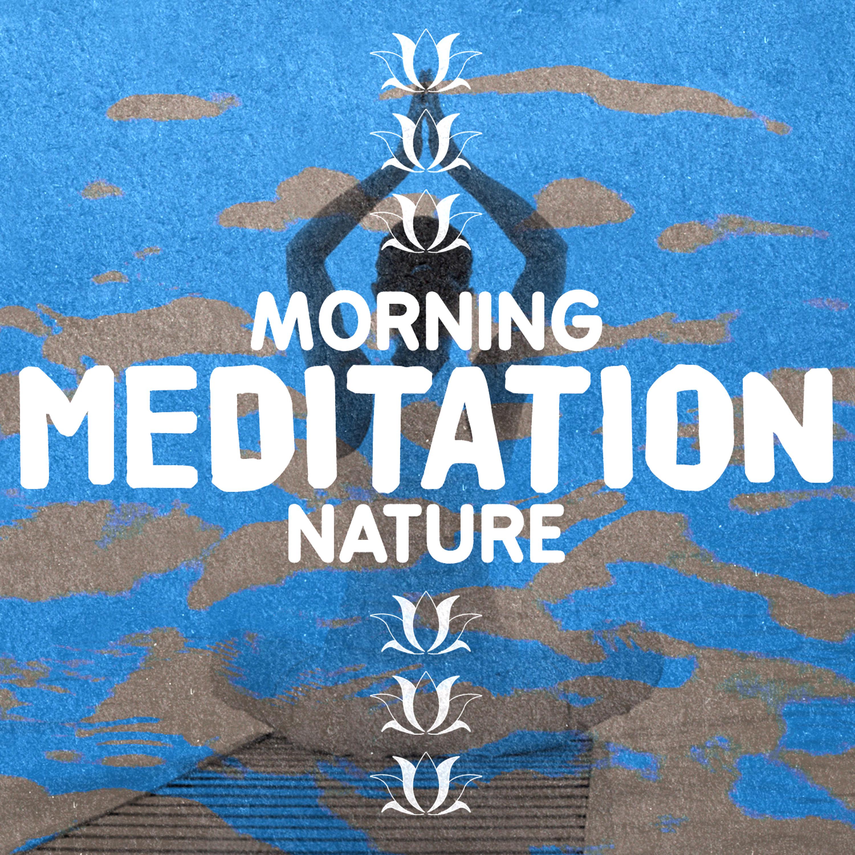 Постер альбома Morning Meditation: Nature