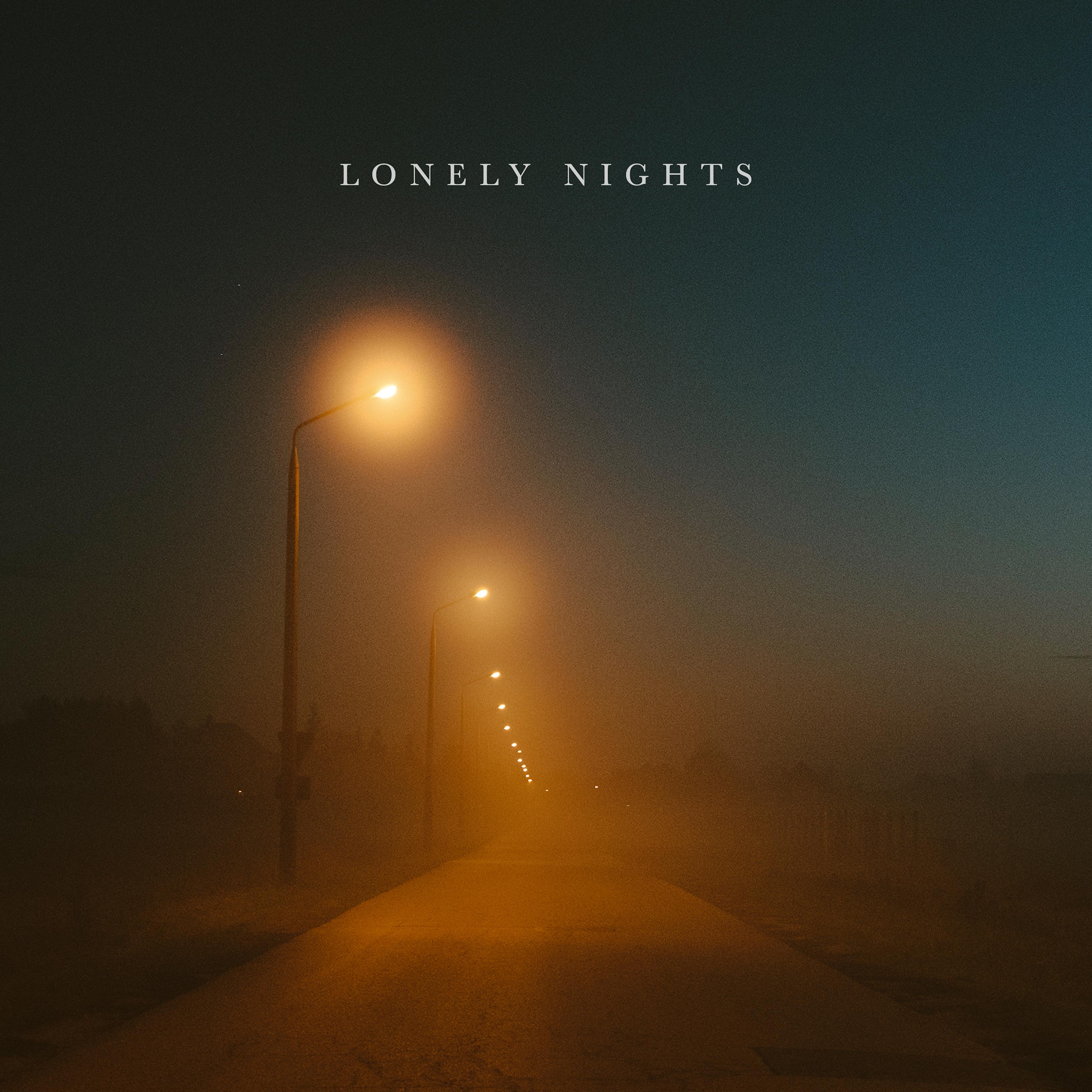 Постер альбома Lonely Nights (feat. Priscilla Ahn)