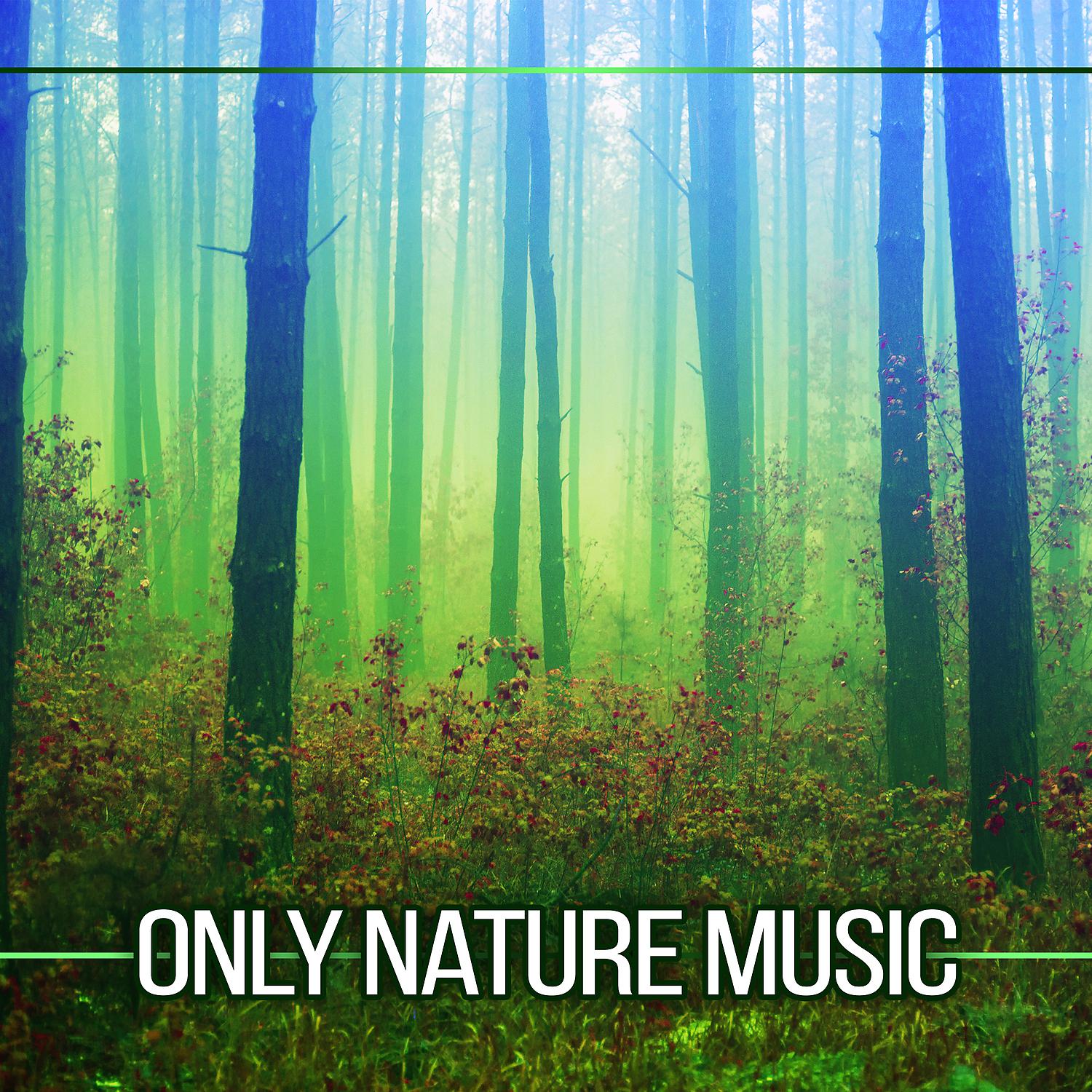 Постер альбома Only Nature Music