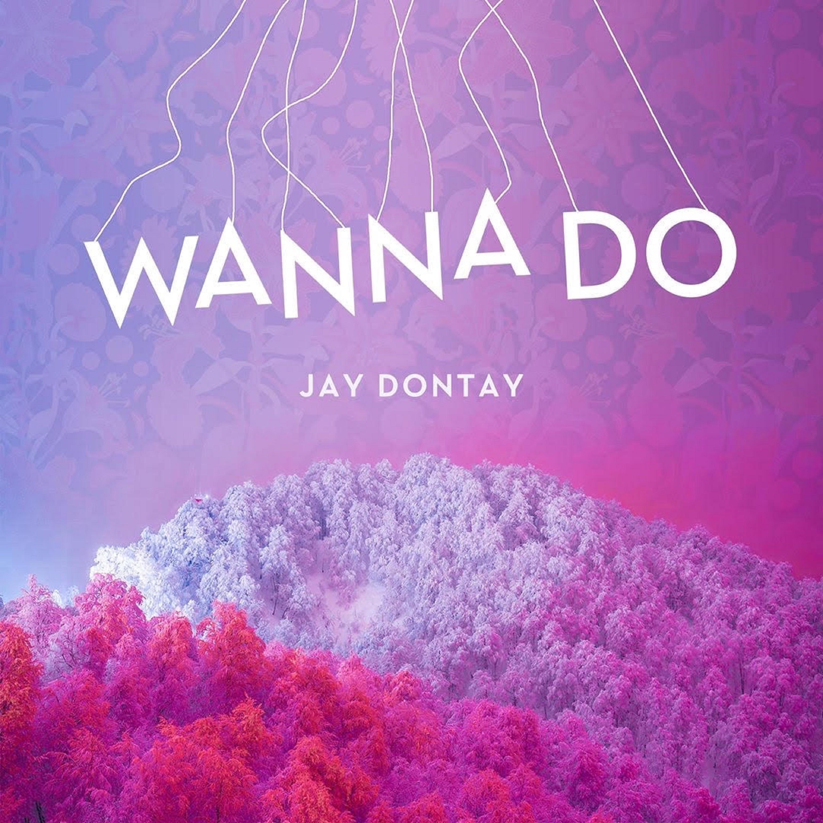 Постер альбома Wanna Do