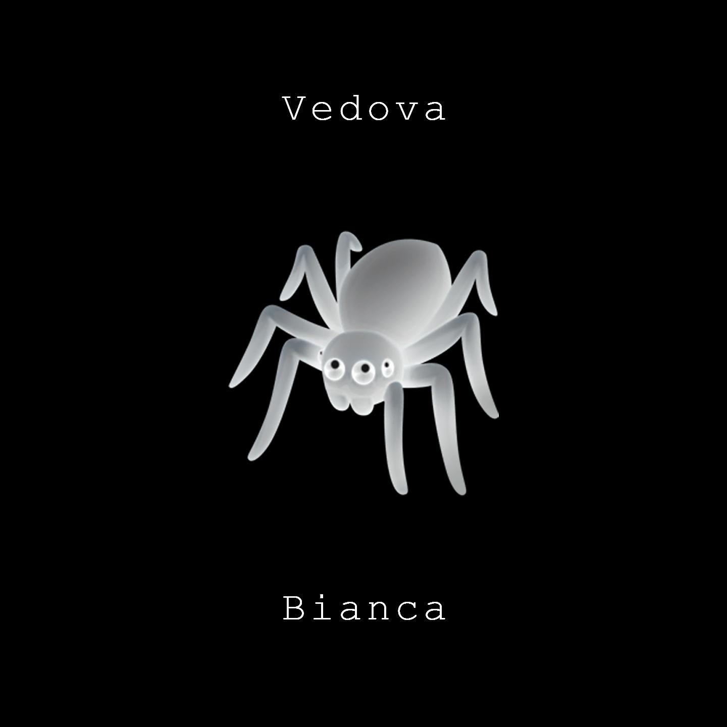 Постер альбома Vedova bianca