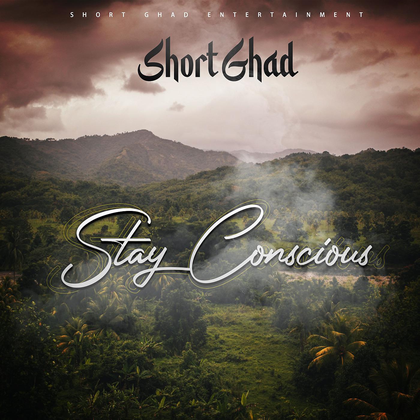 Постер альбома Stay Conscious