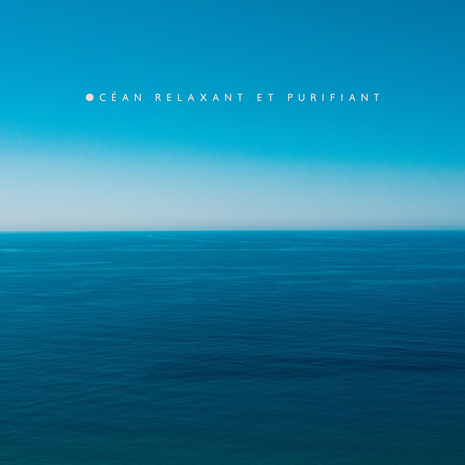 Постер альбома Océan relaxant et purifiant: Les sons de la mer et des vagues