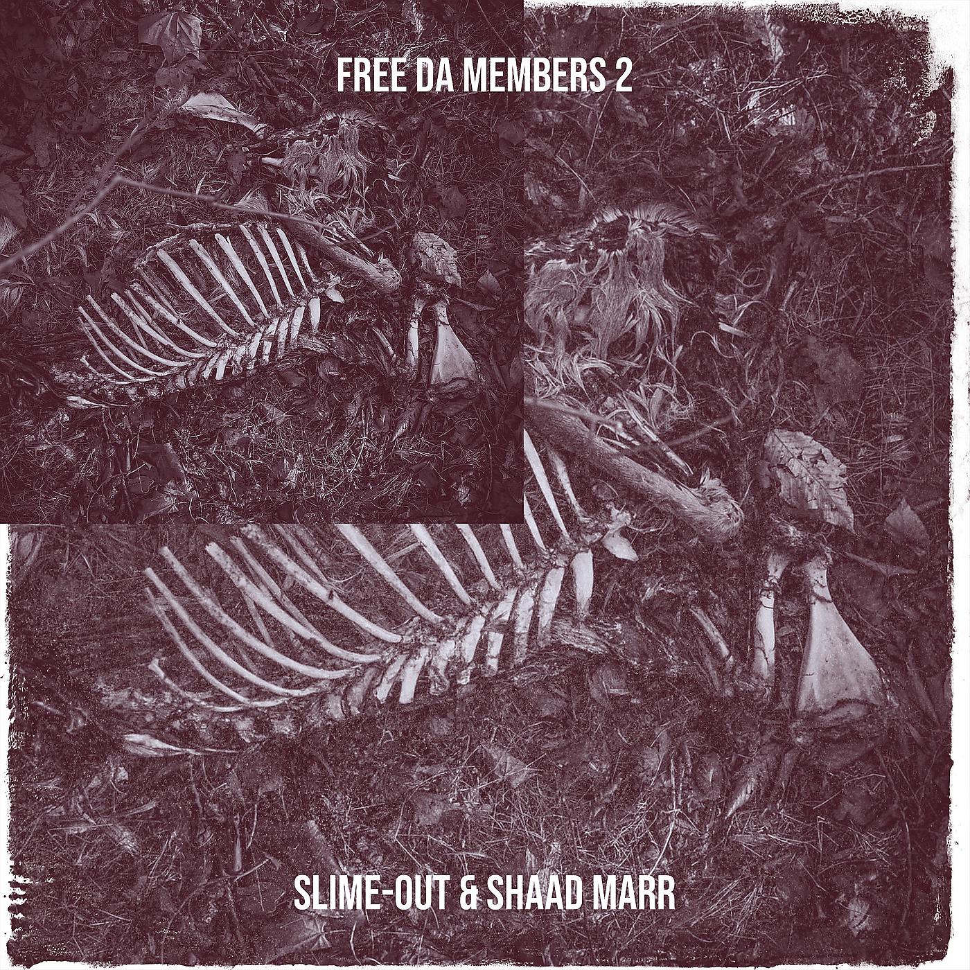 Постер альбома Free da Members 2