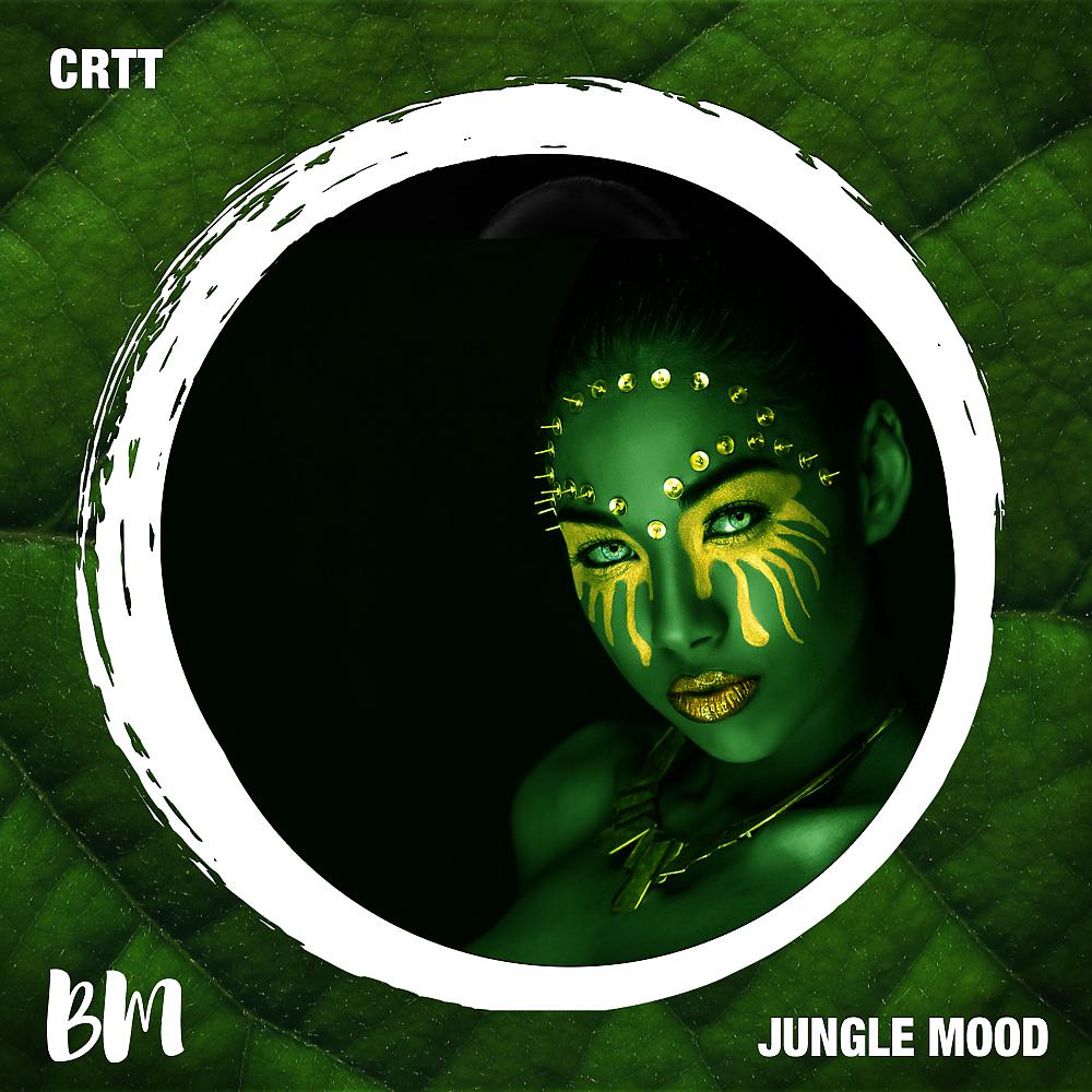 Постер альбома Jungle Mood