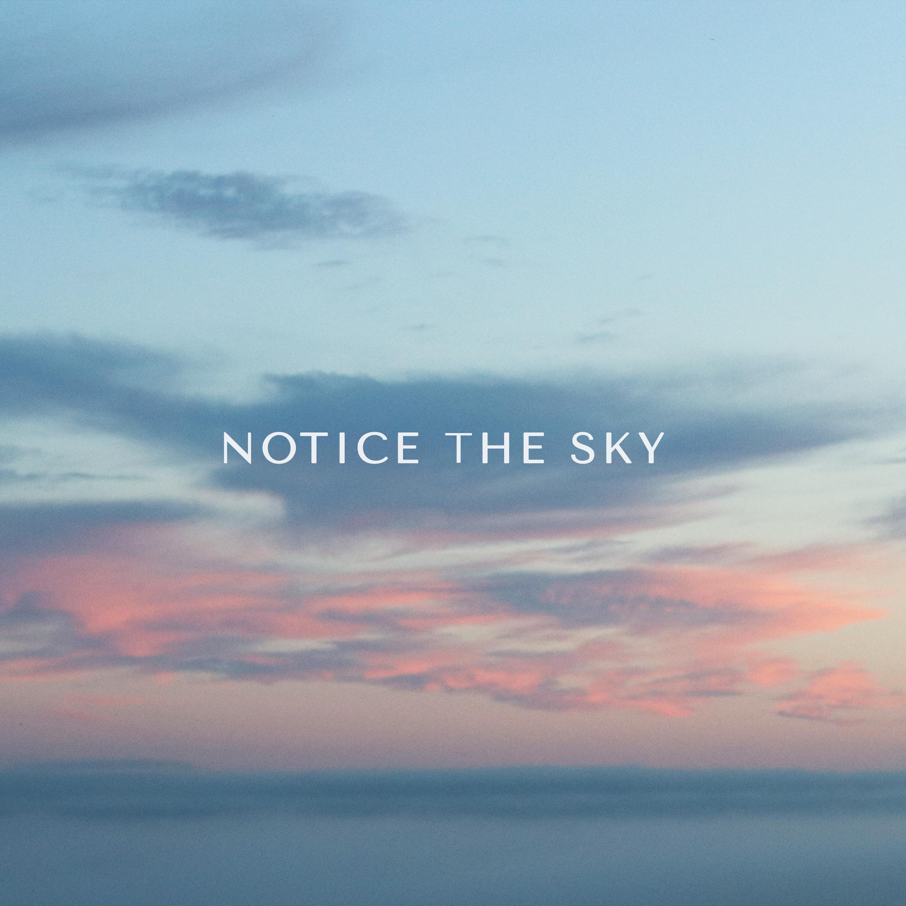 Постер альбома Notice the sky