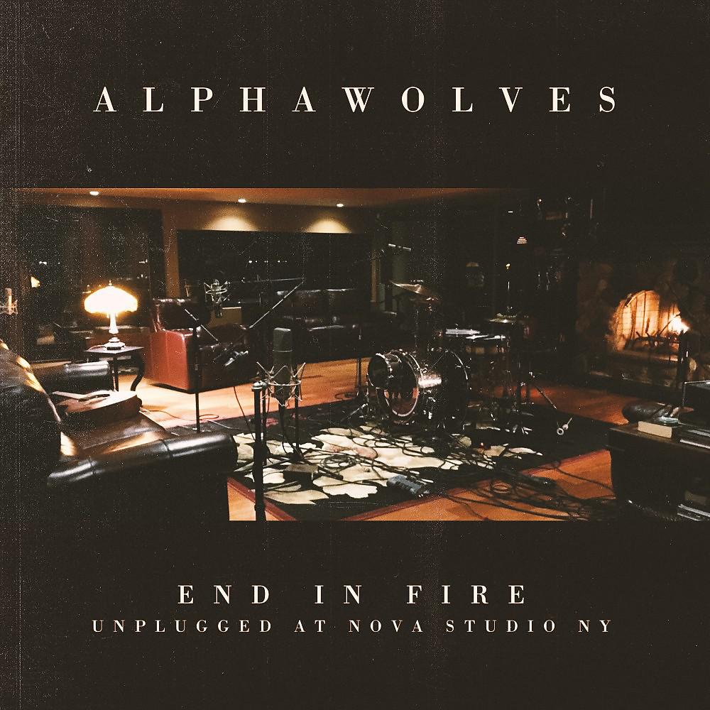 Постер альбома End in Fire (Unplugged at Nova Studio, NY) [Live]
