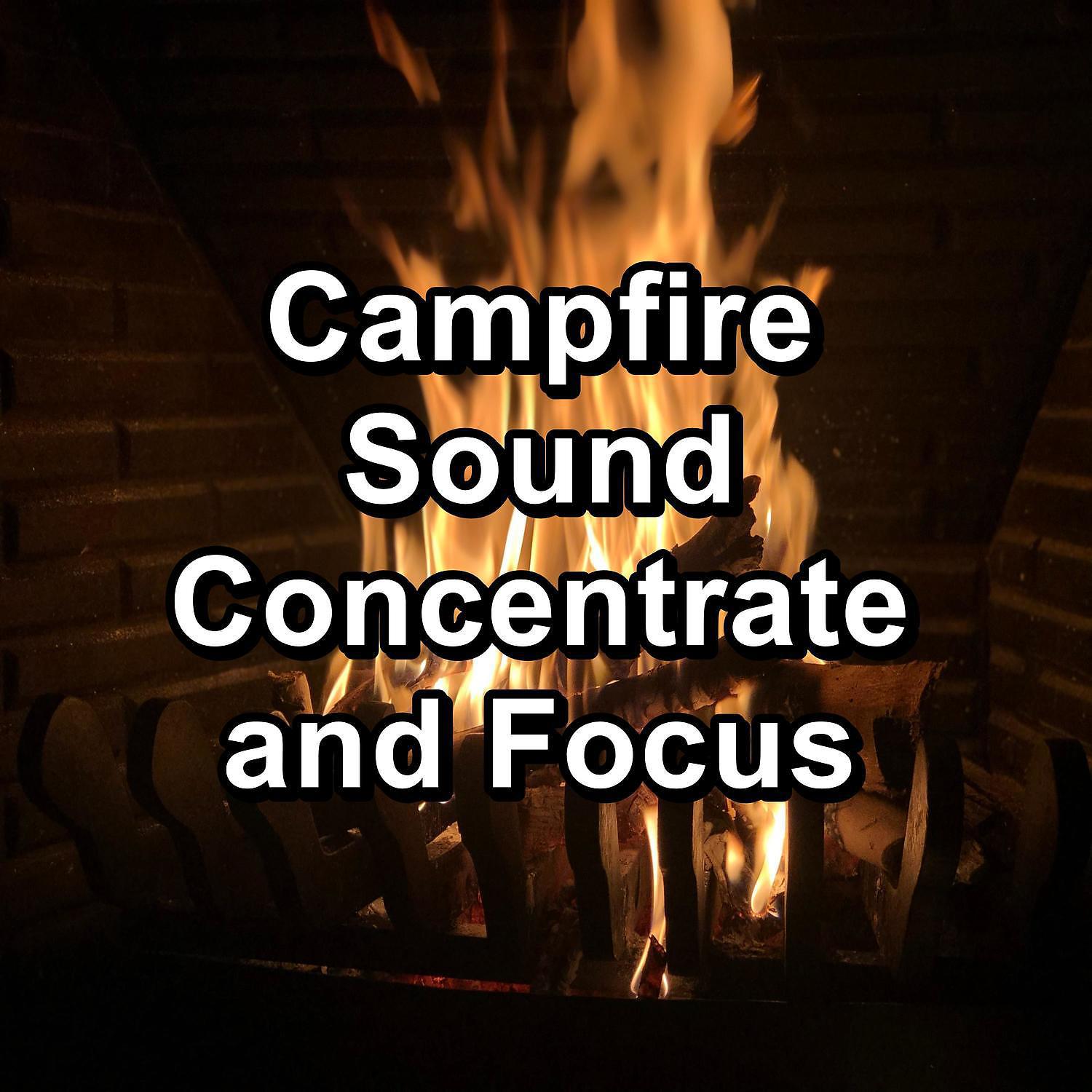 Постер альбома Campfire Sound Concentrate and Focus