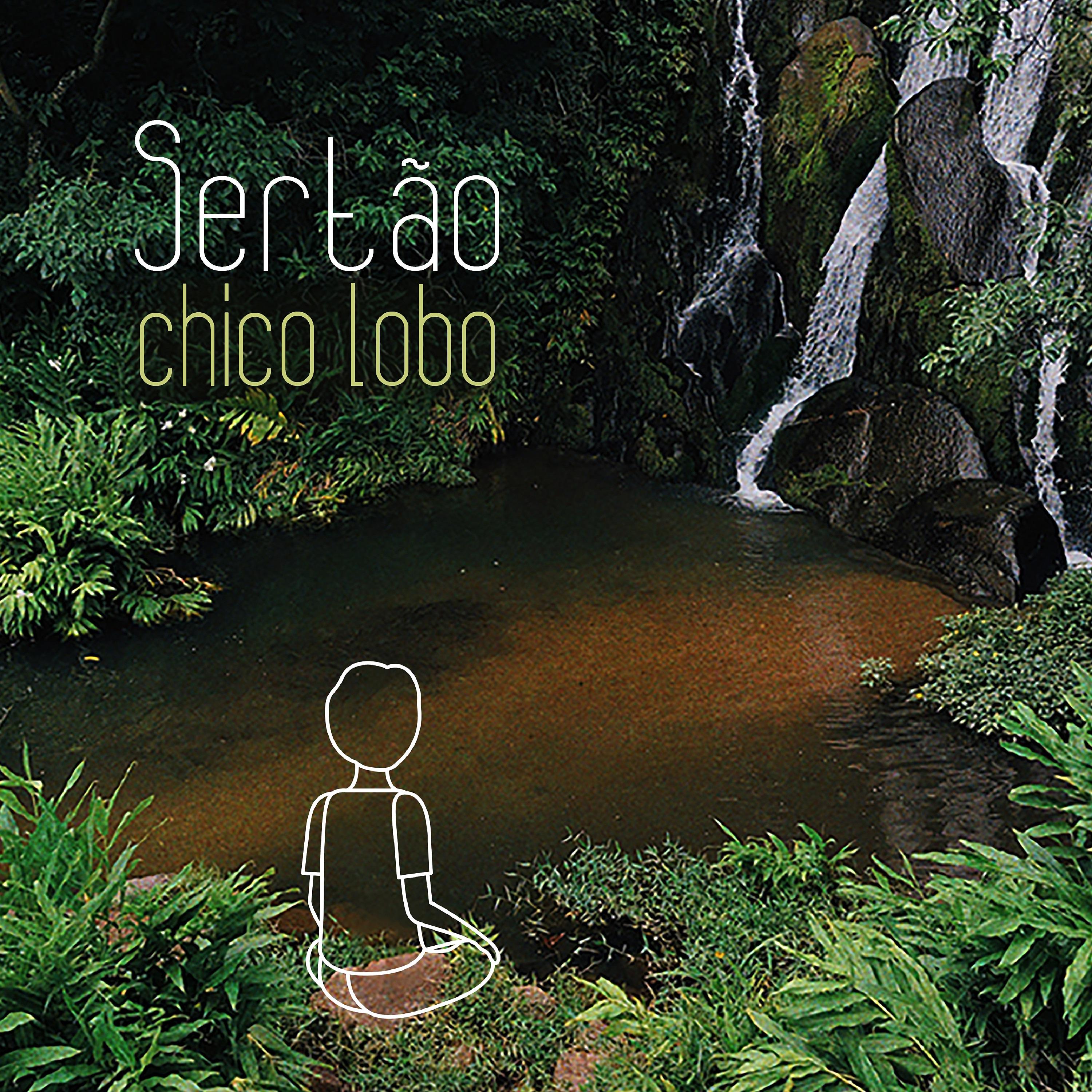 Постер альбома Sertão