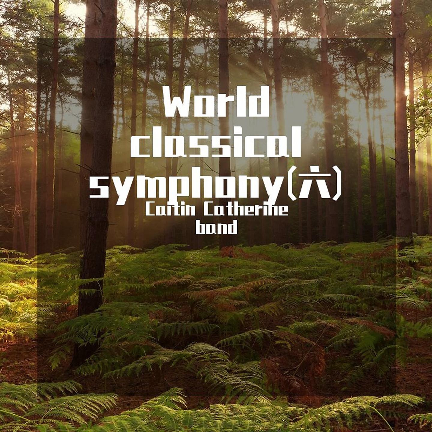Постер альбома World classical symphony(六)