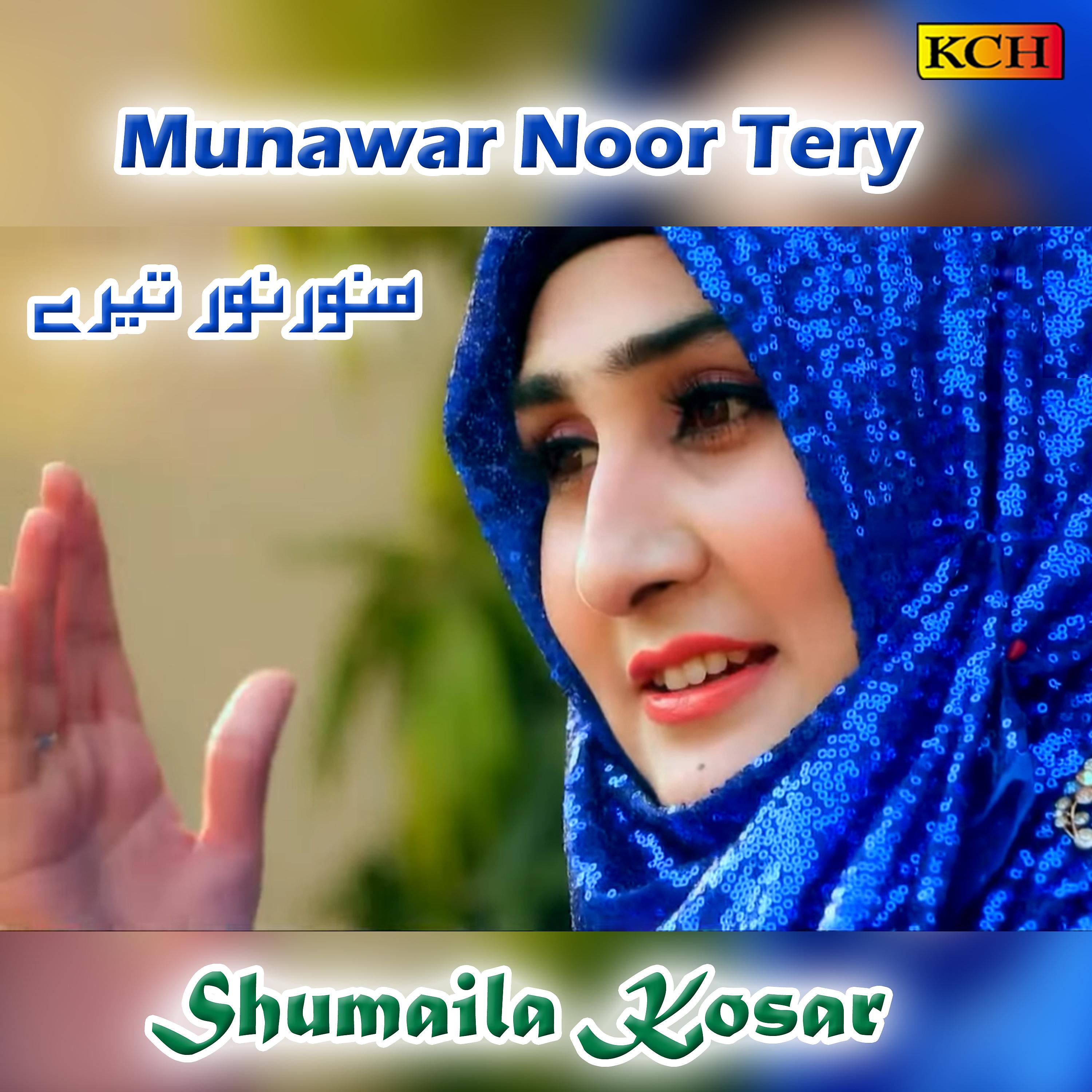 Постер альбома Munawar Noor Tery