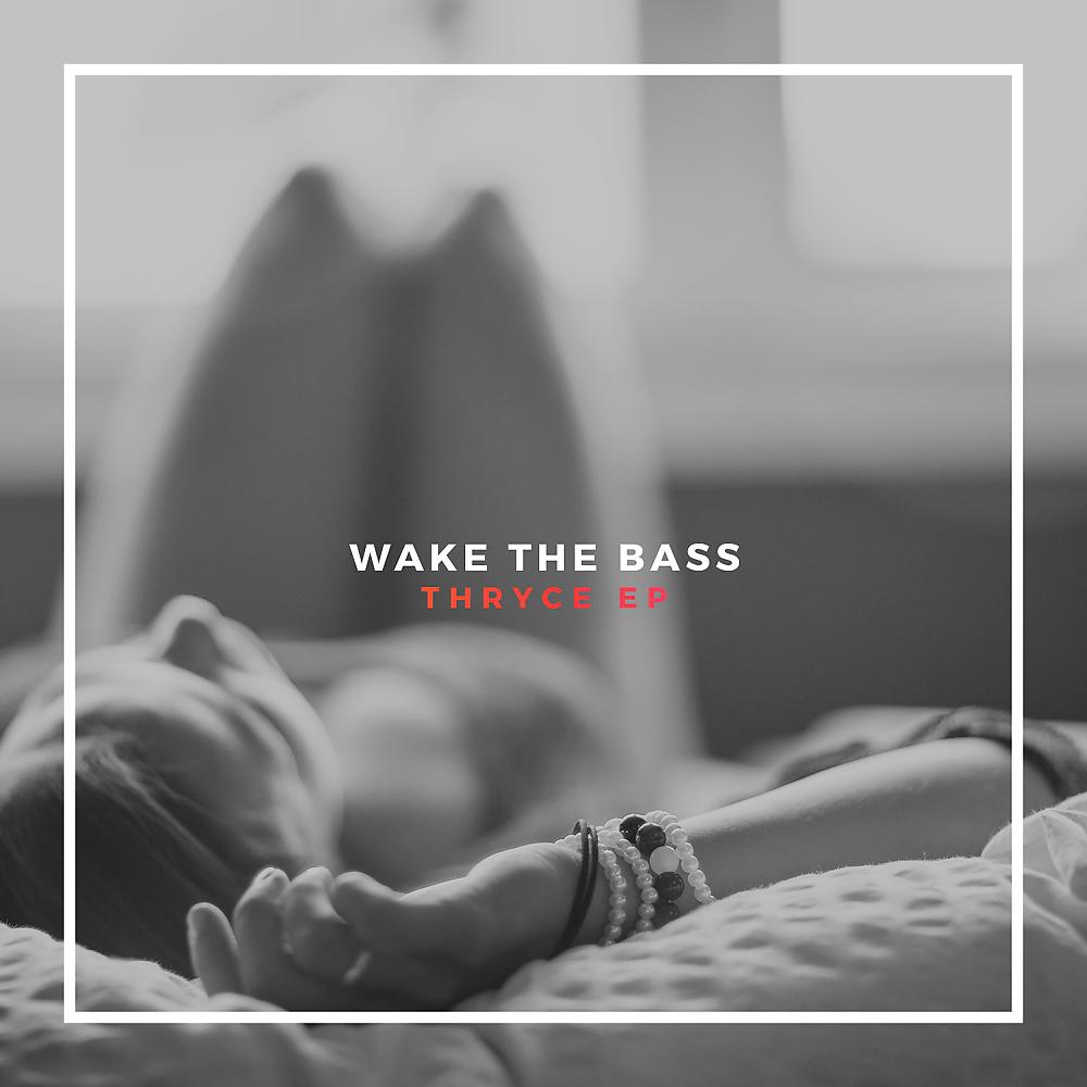 Постер альбома Wake The Bass EP