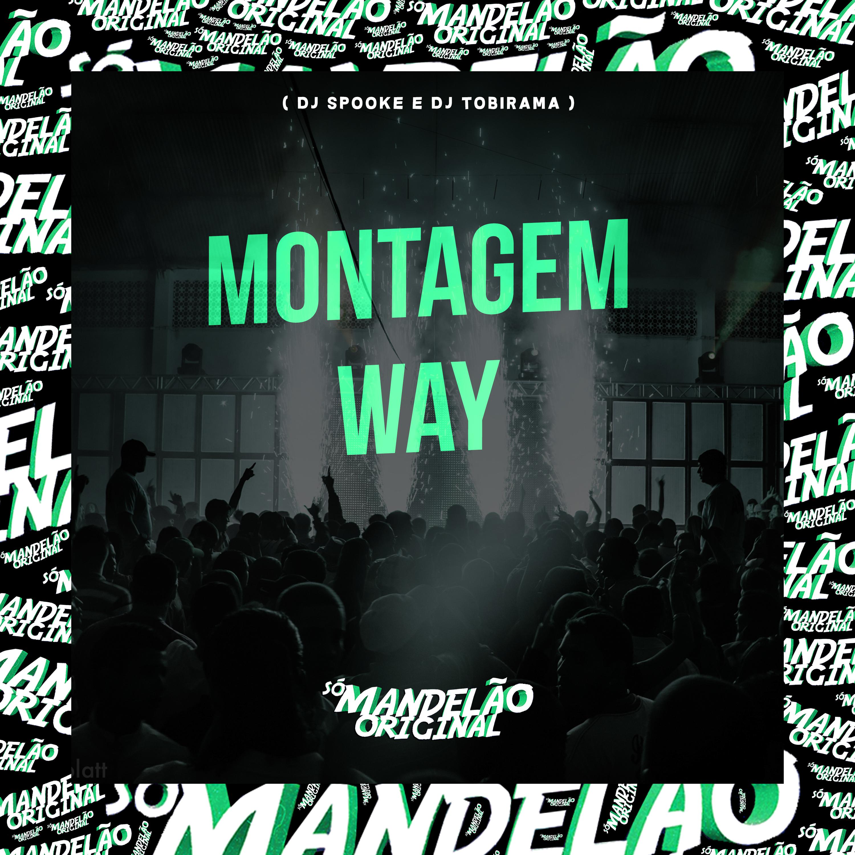 Постер альбома Montagem Way