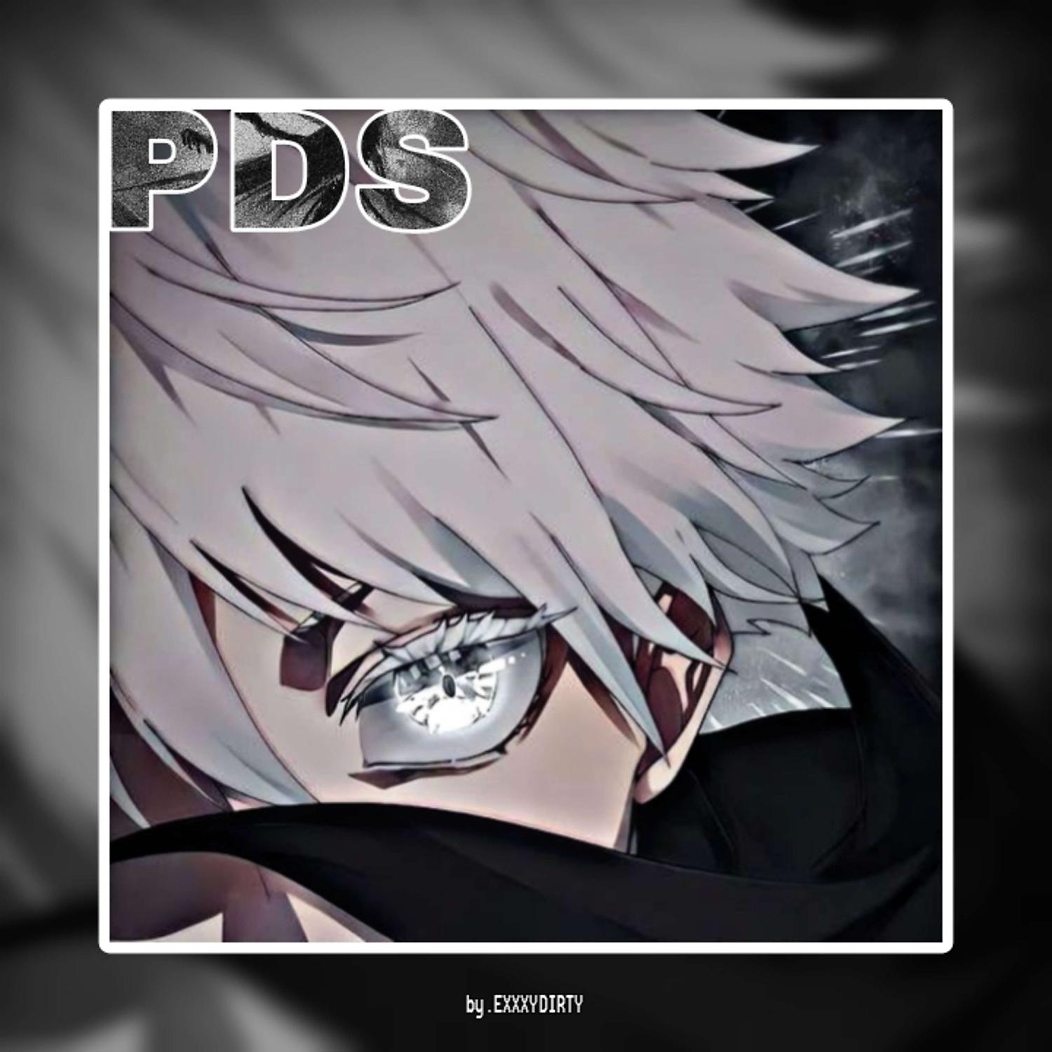 Постер альбома PDS 