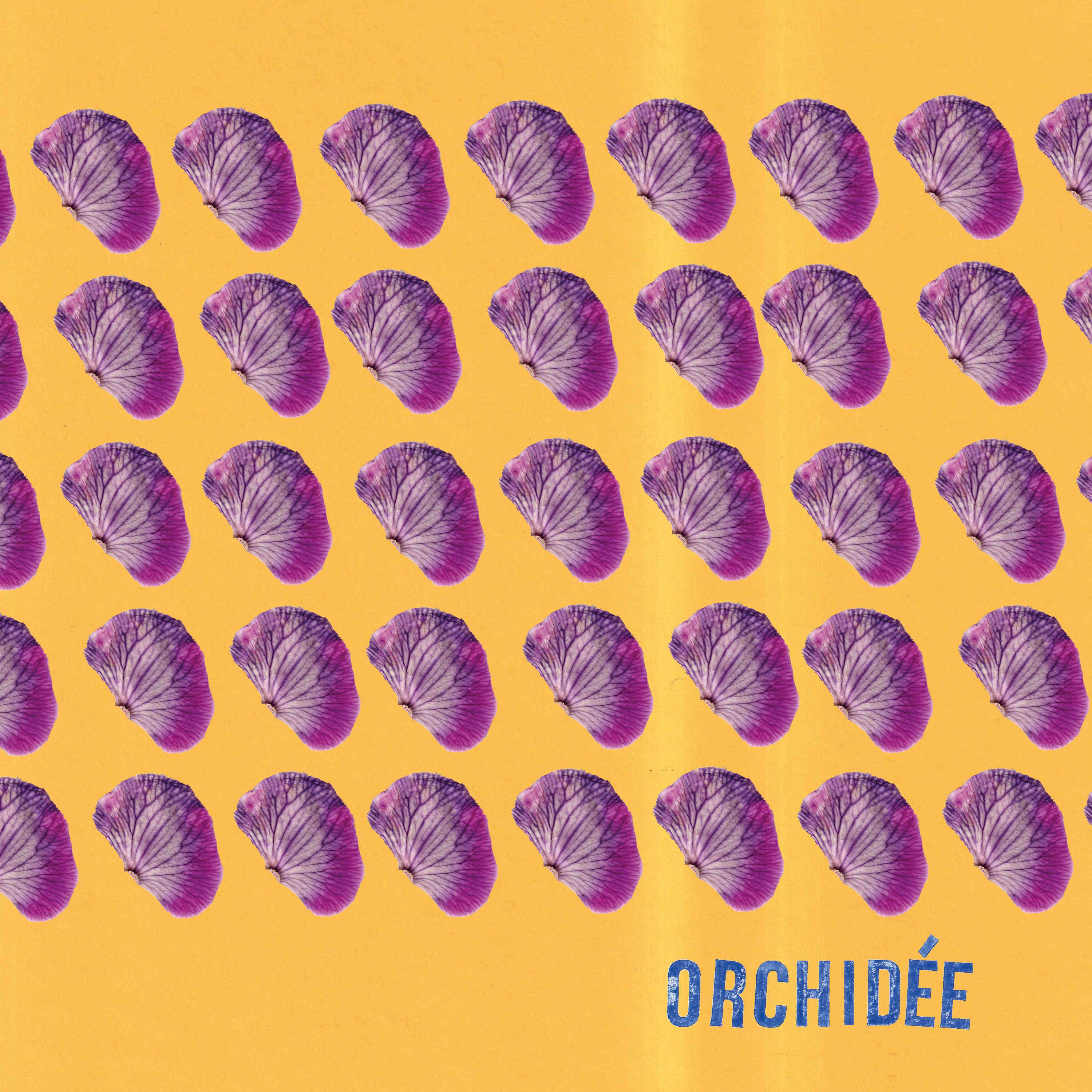 Постер альбома Orchidée