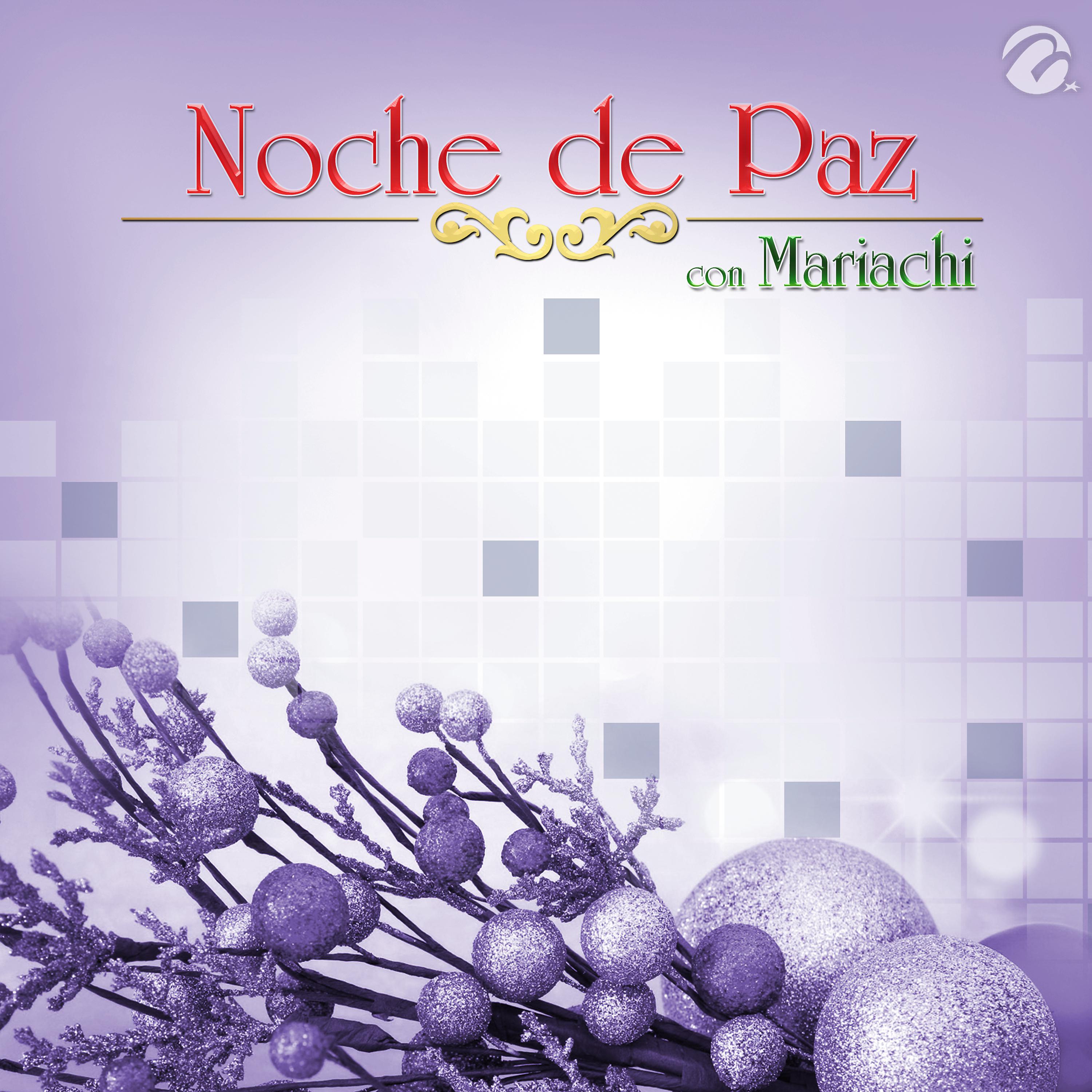 Постер альбома Noche de Paz