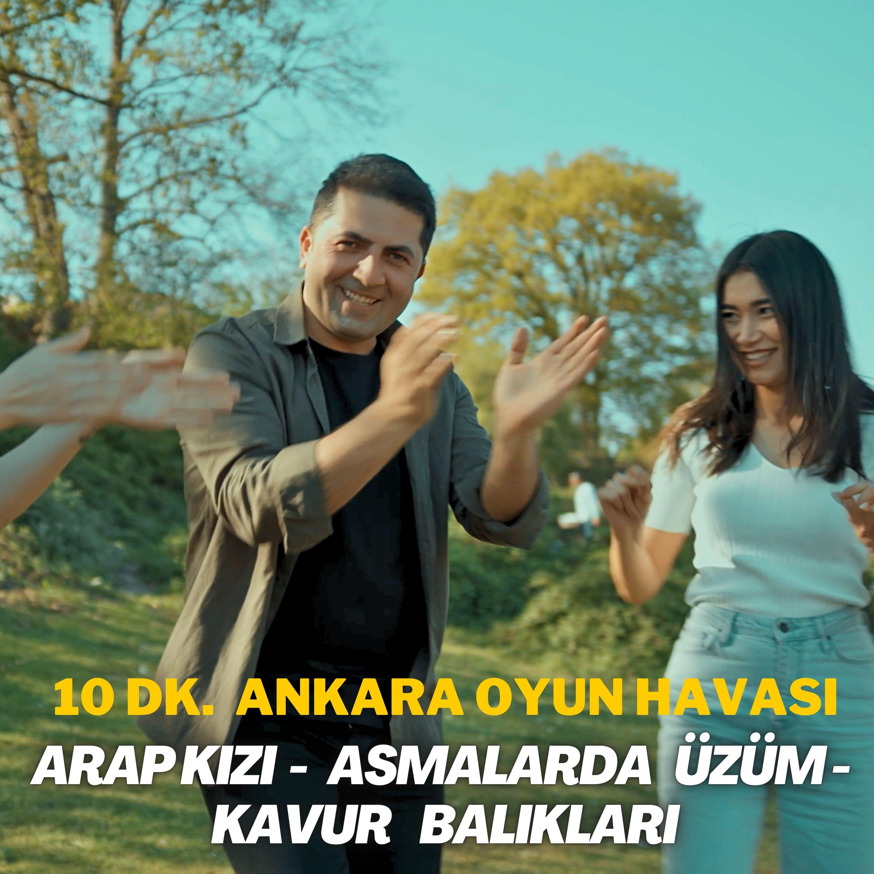 Постер альбома Arap Kızı / Asmalarda Üzüm / Kavur Balıkları