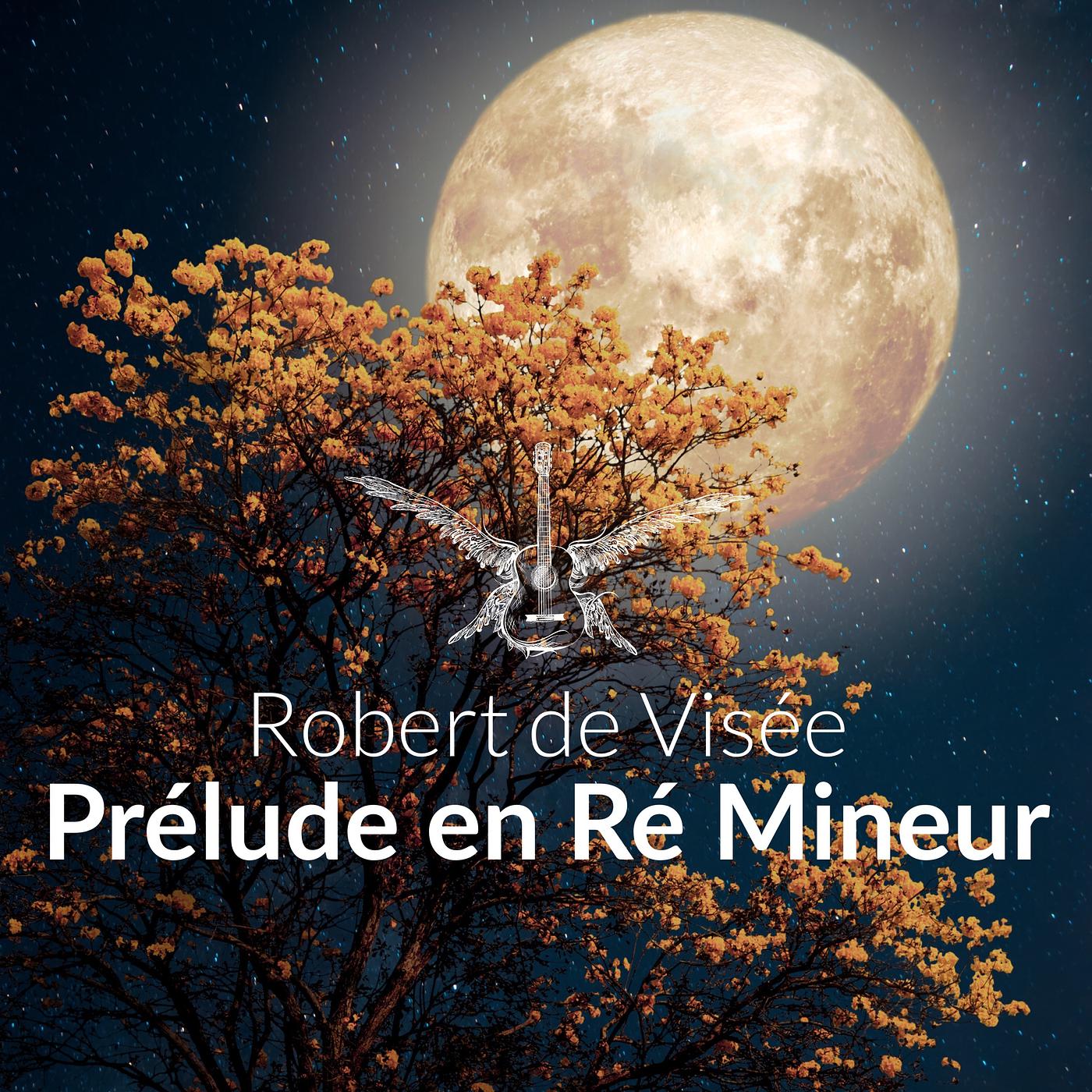 Постер альбома Prélude en Ré Mineur