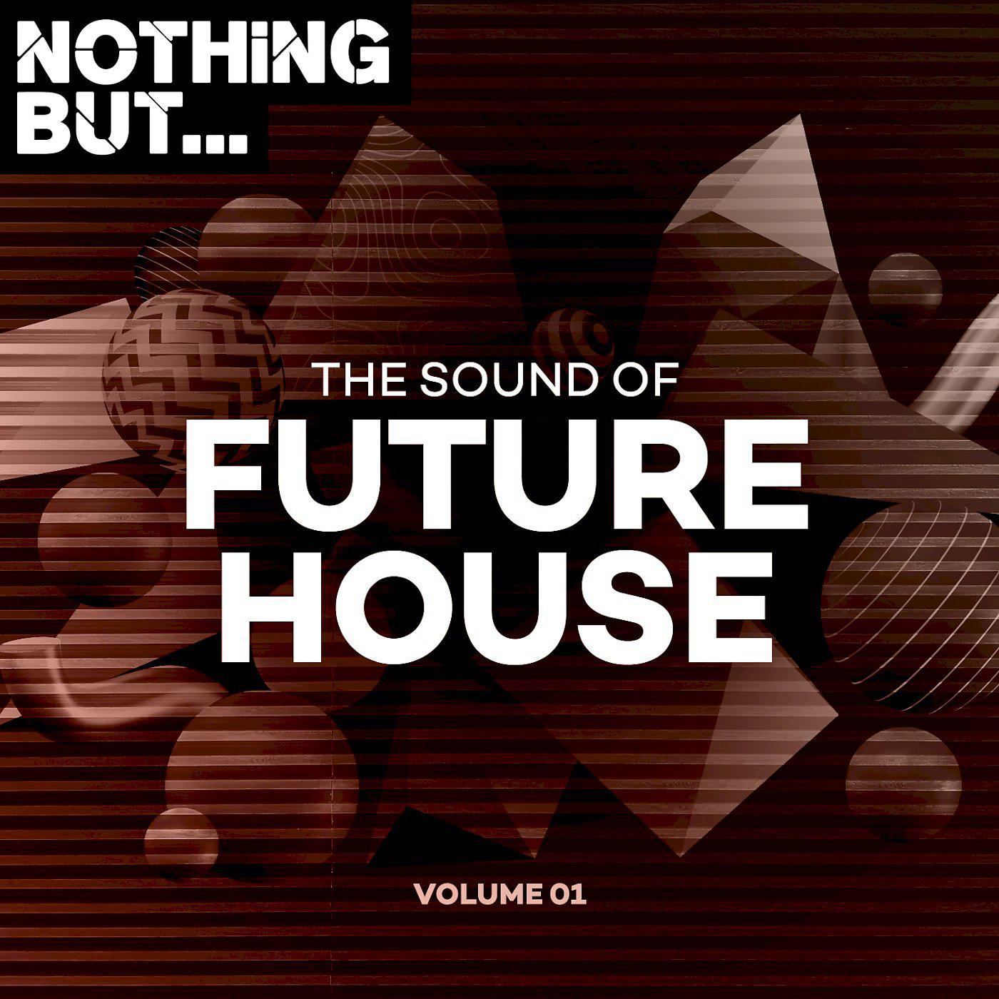 Постер альбома Nothing But... The Sound of Future House, Vol. 01