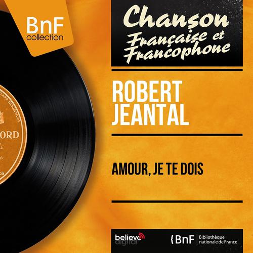 Постер альбома Amour, je te dois (Mono Version)