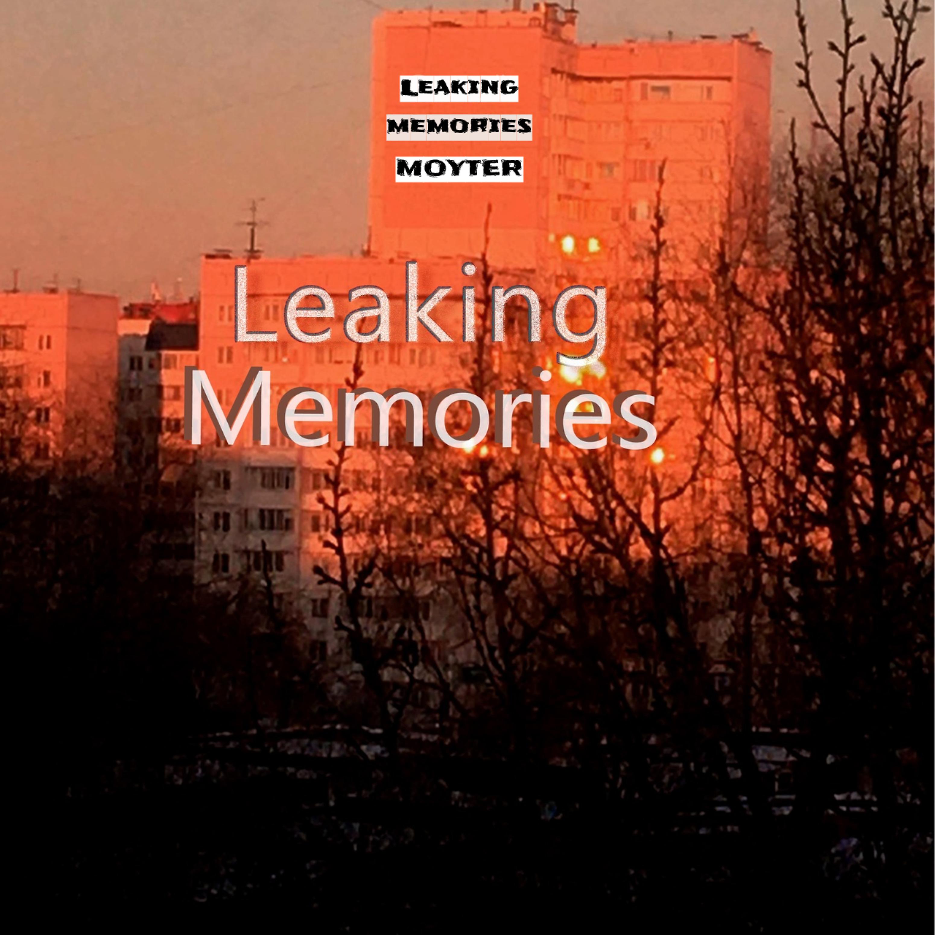 Постер альбома Leaking Memories