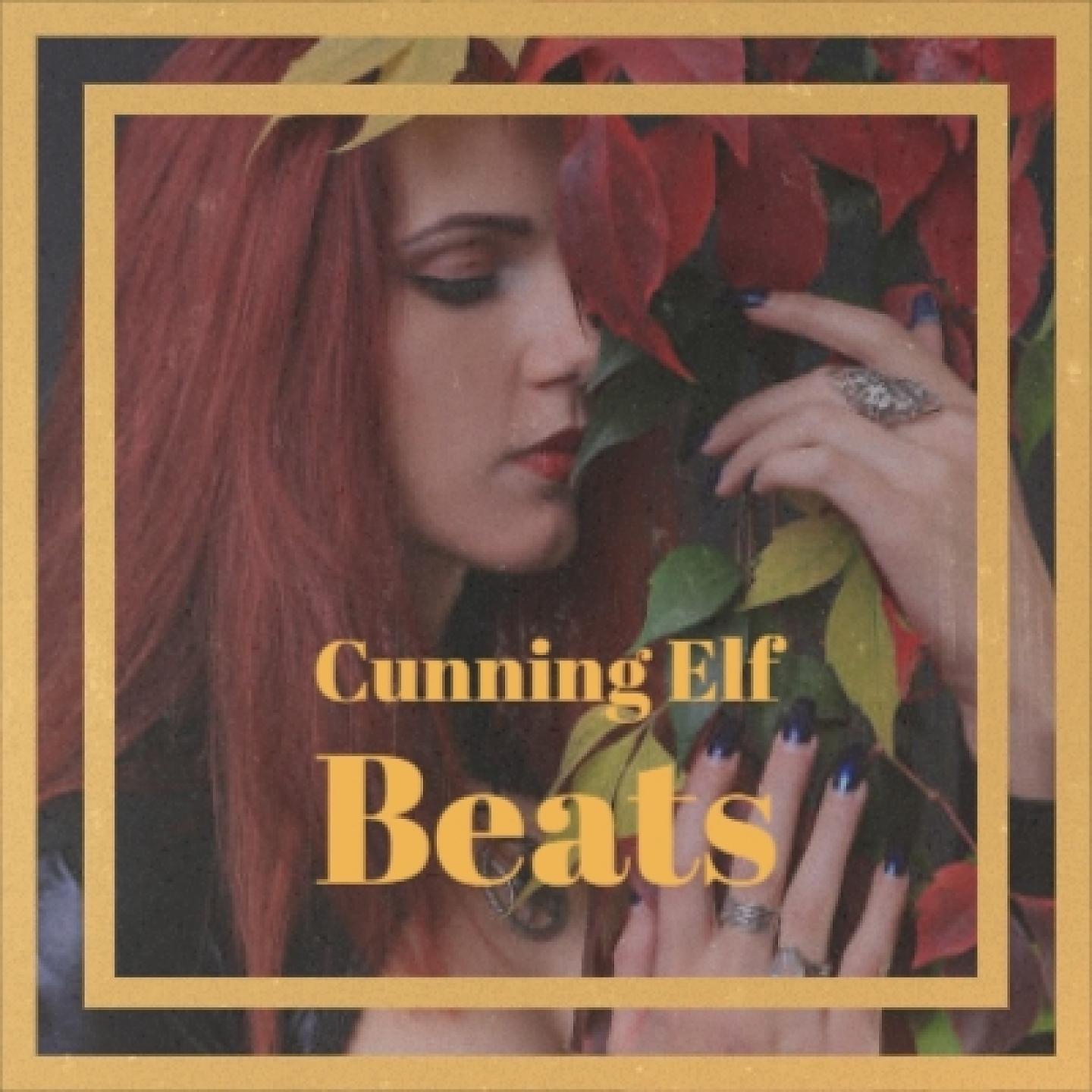 Постер альбома Cunning Elf Beats