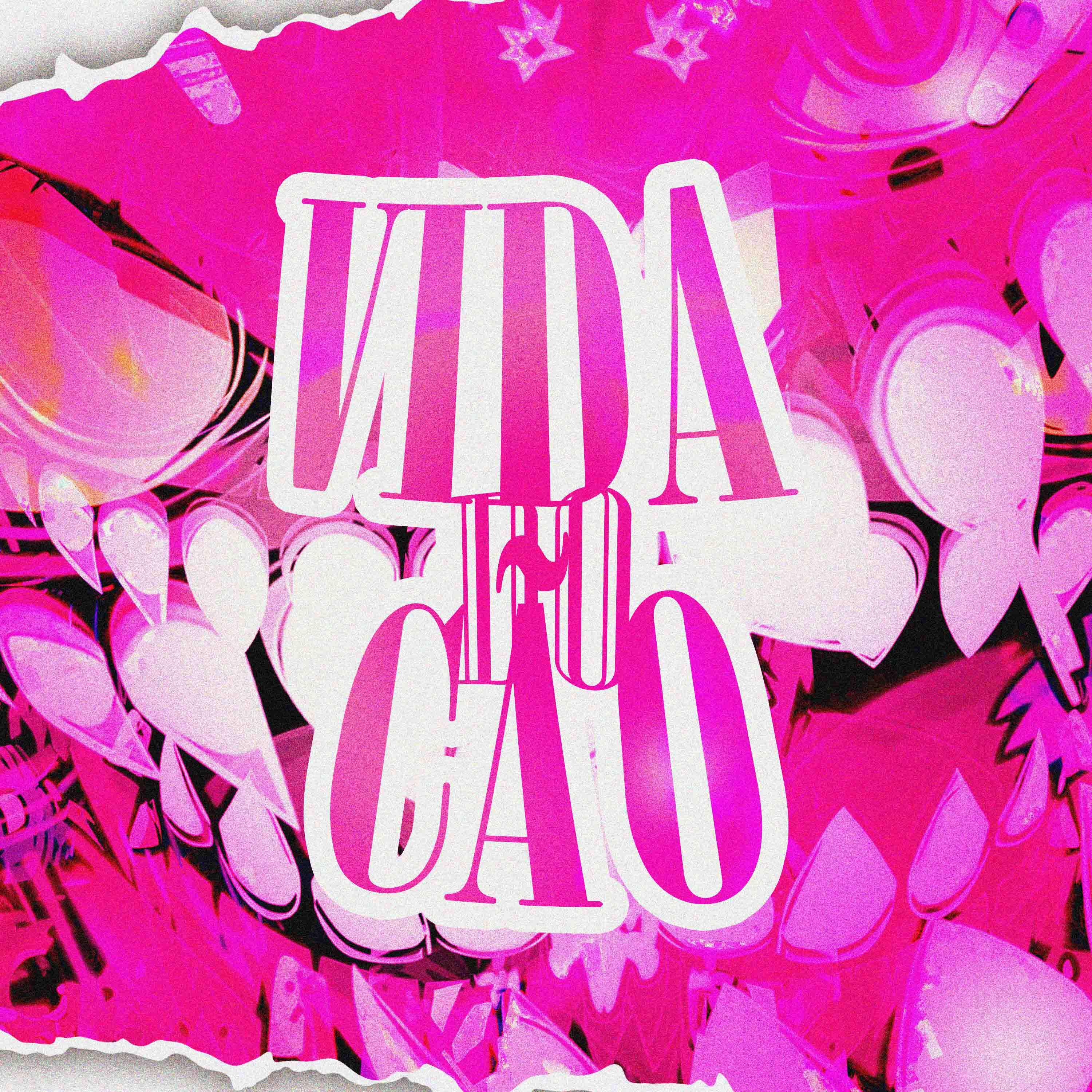 Постер альбома Vida do Cão