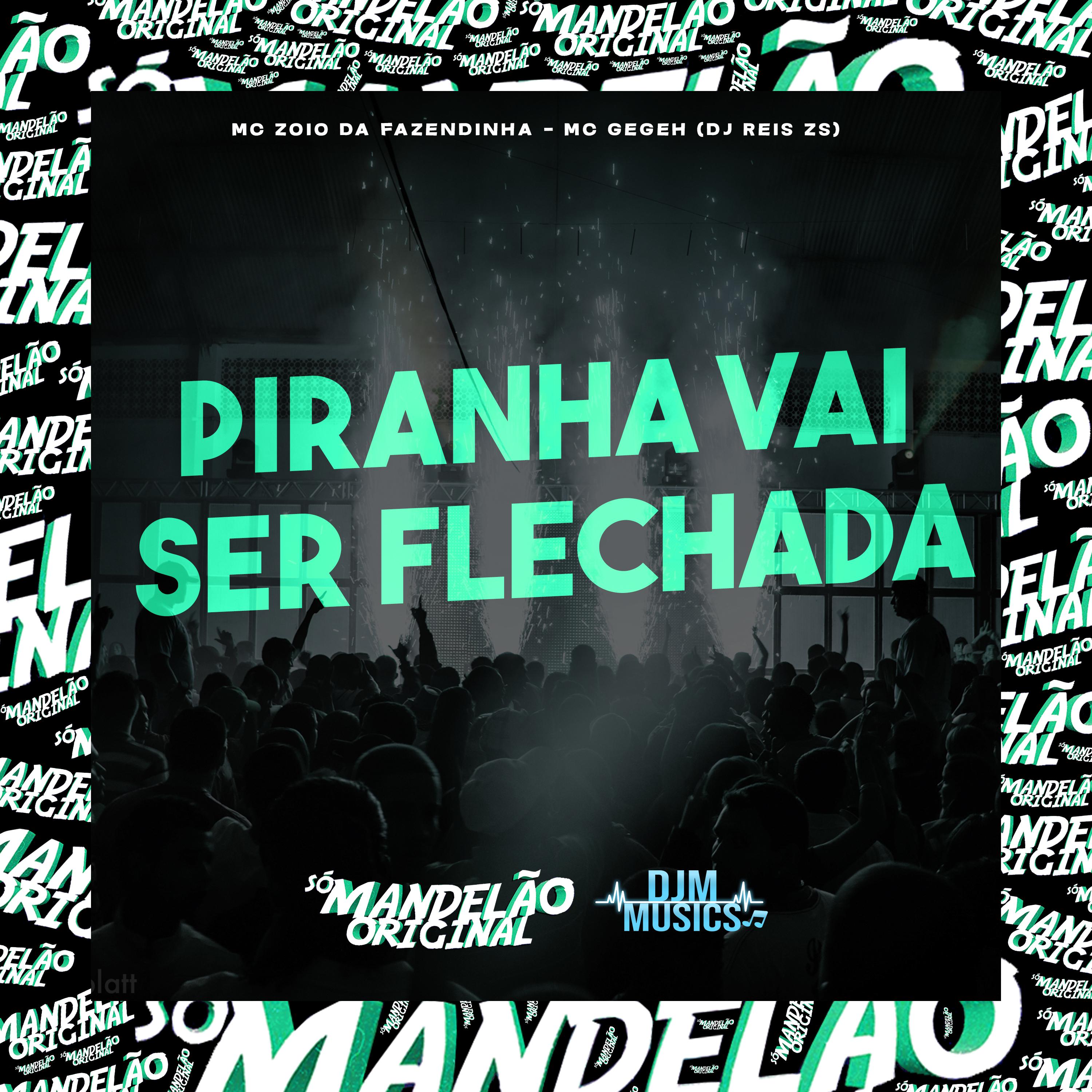 Постер альбома Piranha Vai Ser Flechada