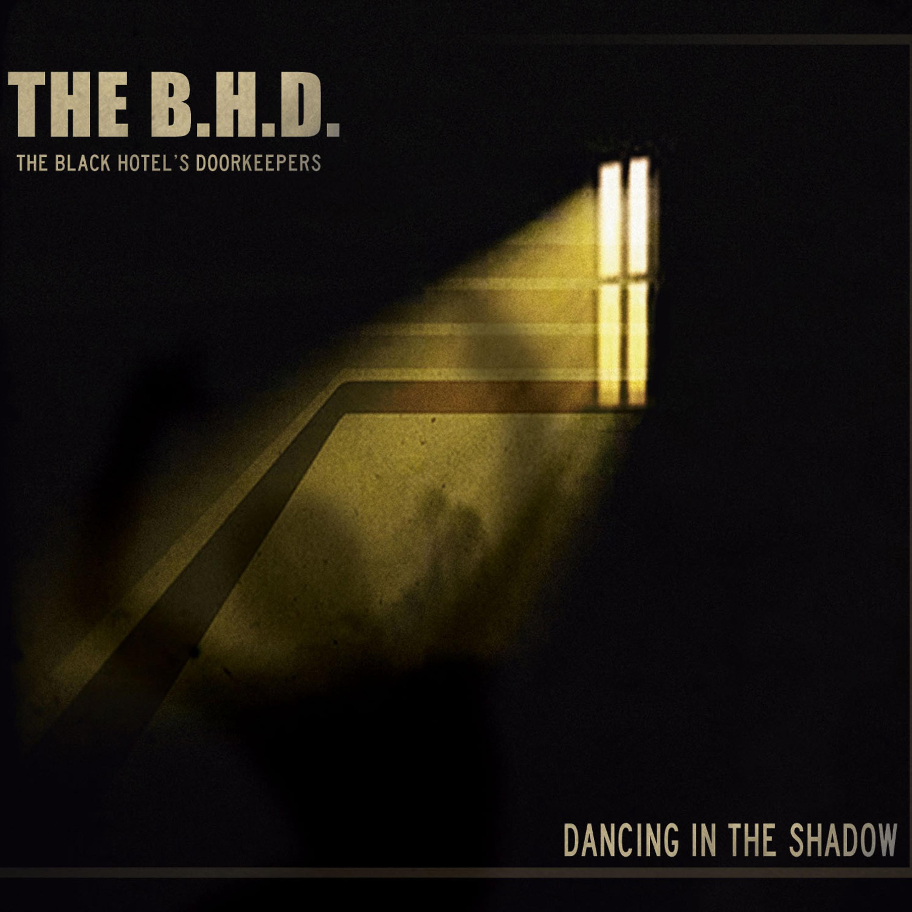 Постер альбома Dancing in the Shadow