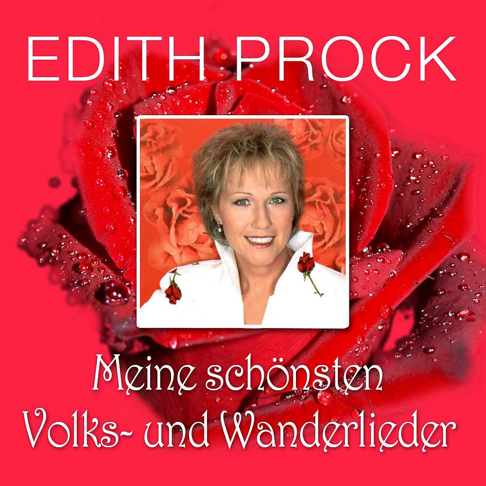 Постер альбома Meine schönsten Volks- Und Wanderlieder