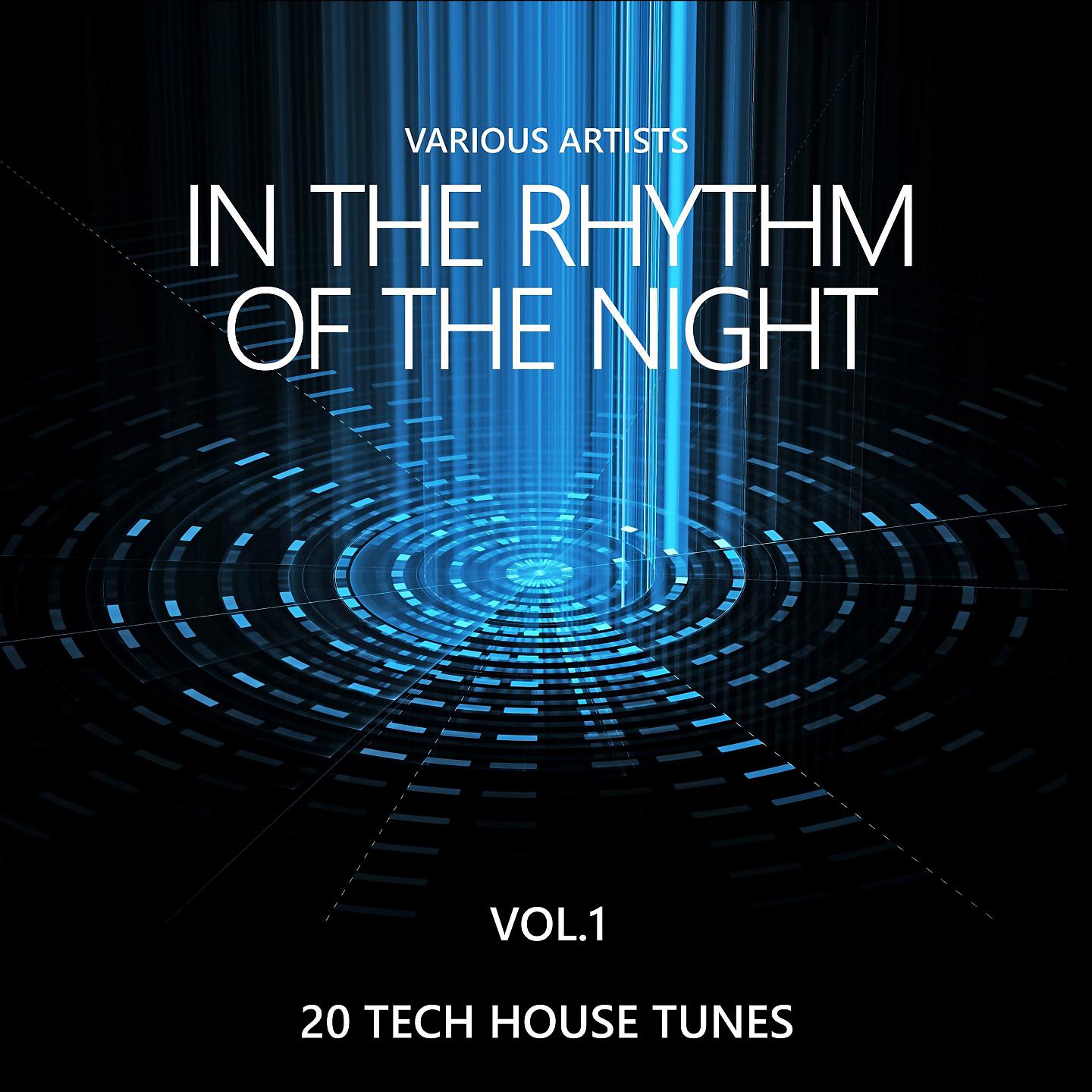 Постер альбома In the Rhythm of the Night (20 Tech House Tunes), Vol. 1