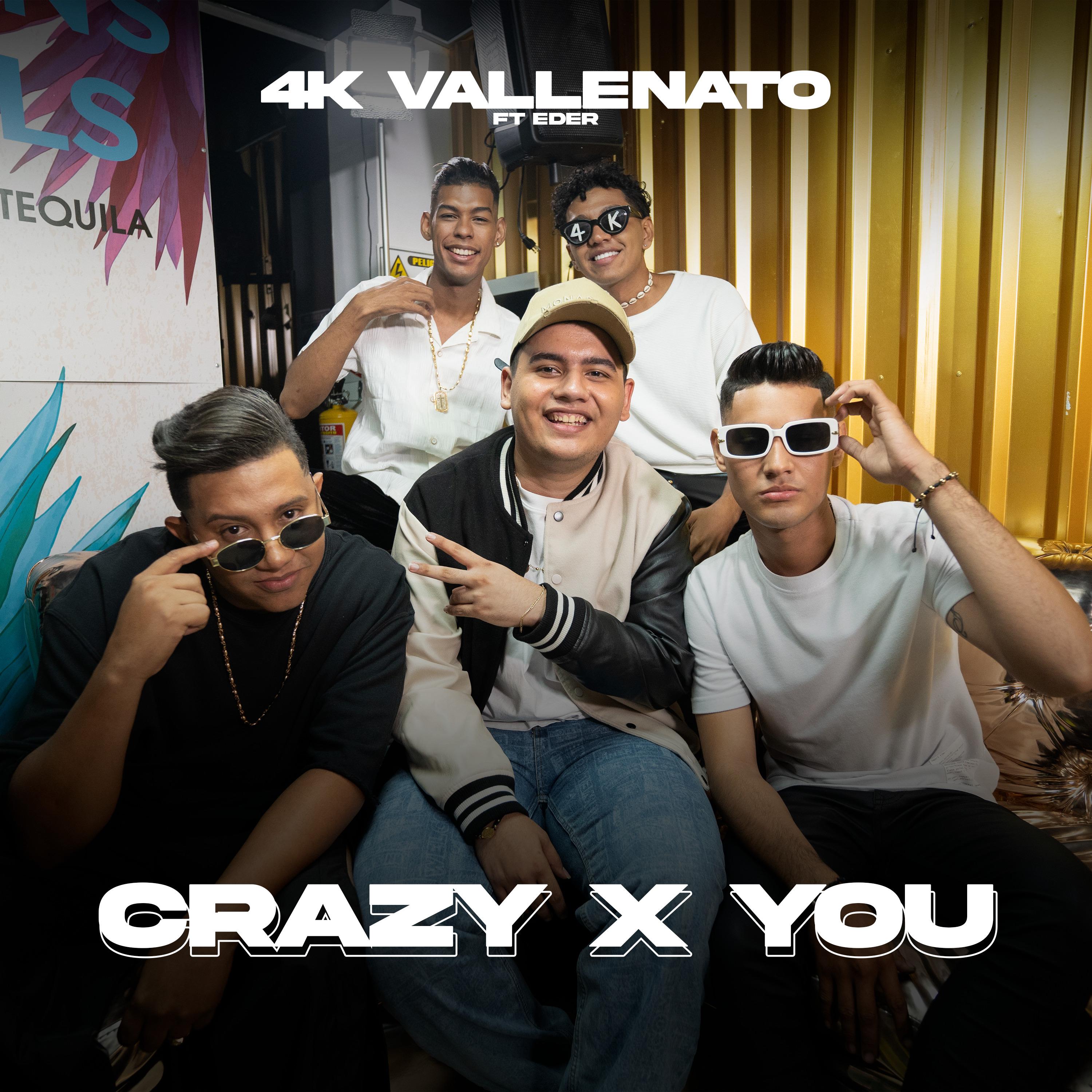 Постер альбома Crazy X You