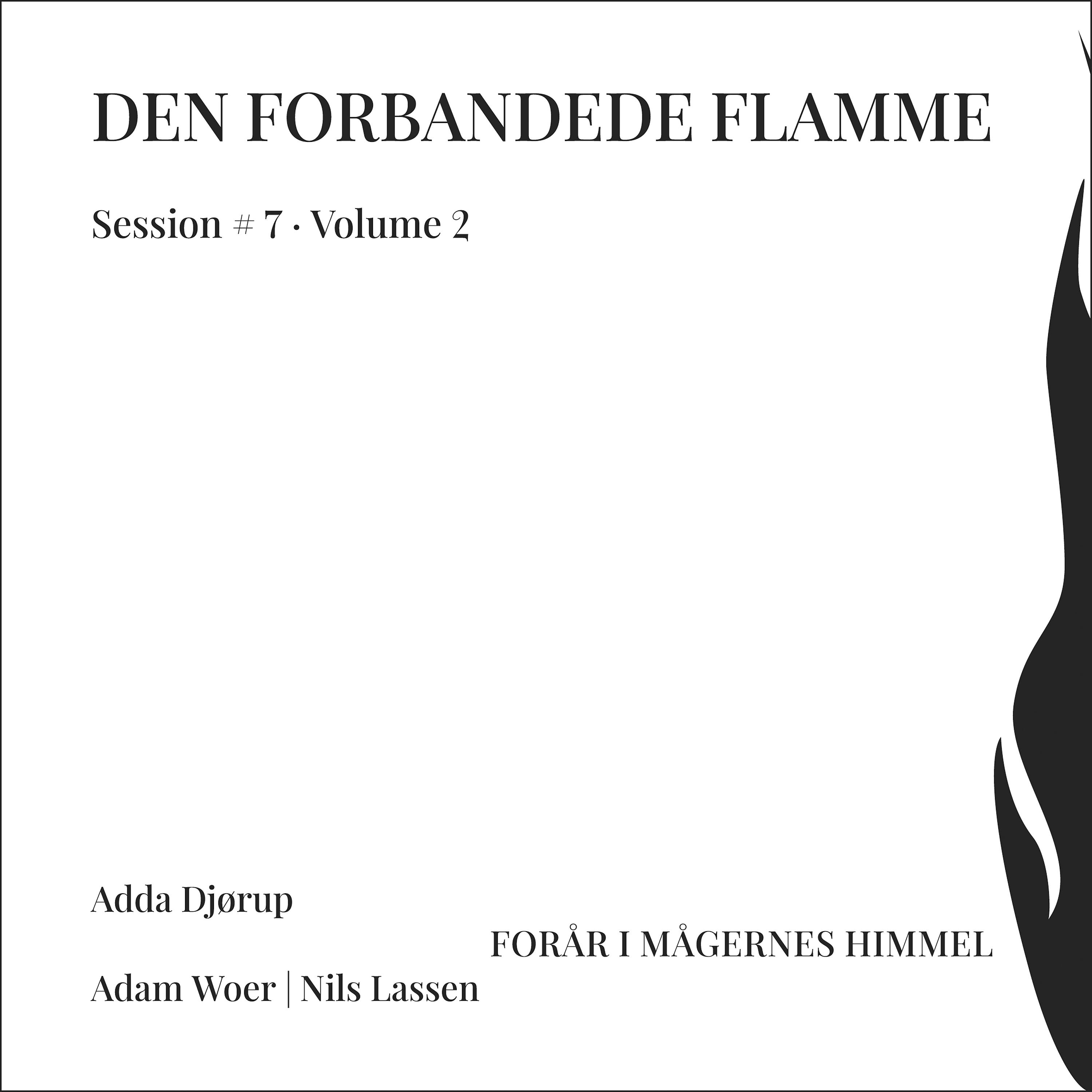 Постер альбома Forår I Mågernes Himmel