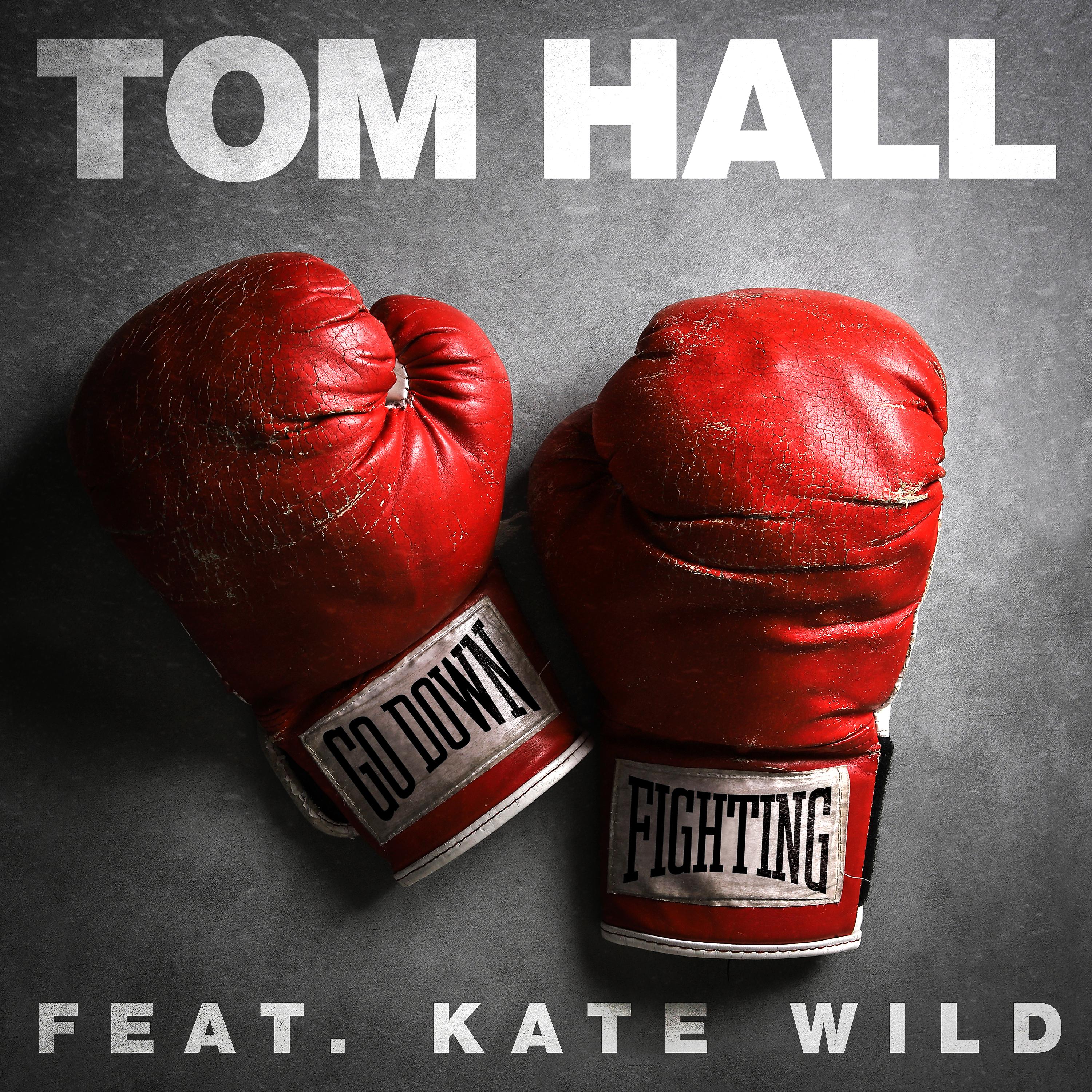 Постер альбома Go Down Fighting (feat. Kate Wild)