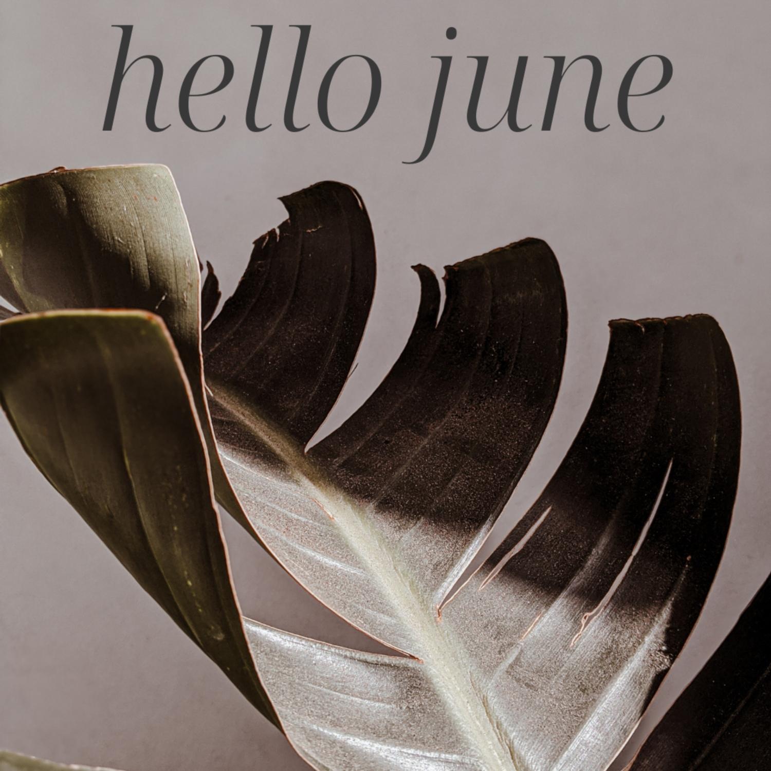 Постер альбома Hello June