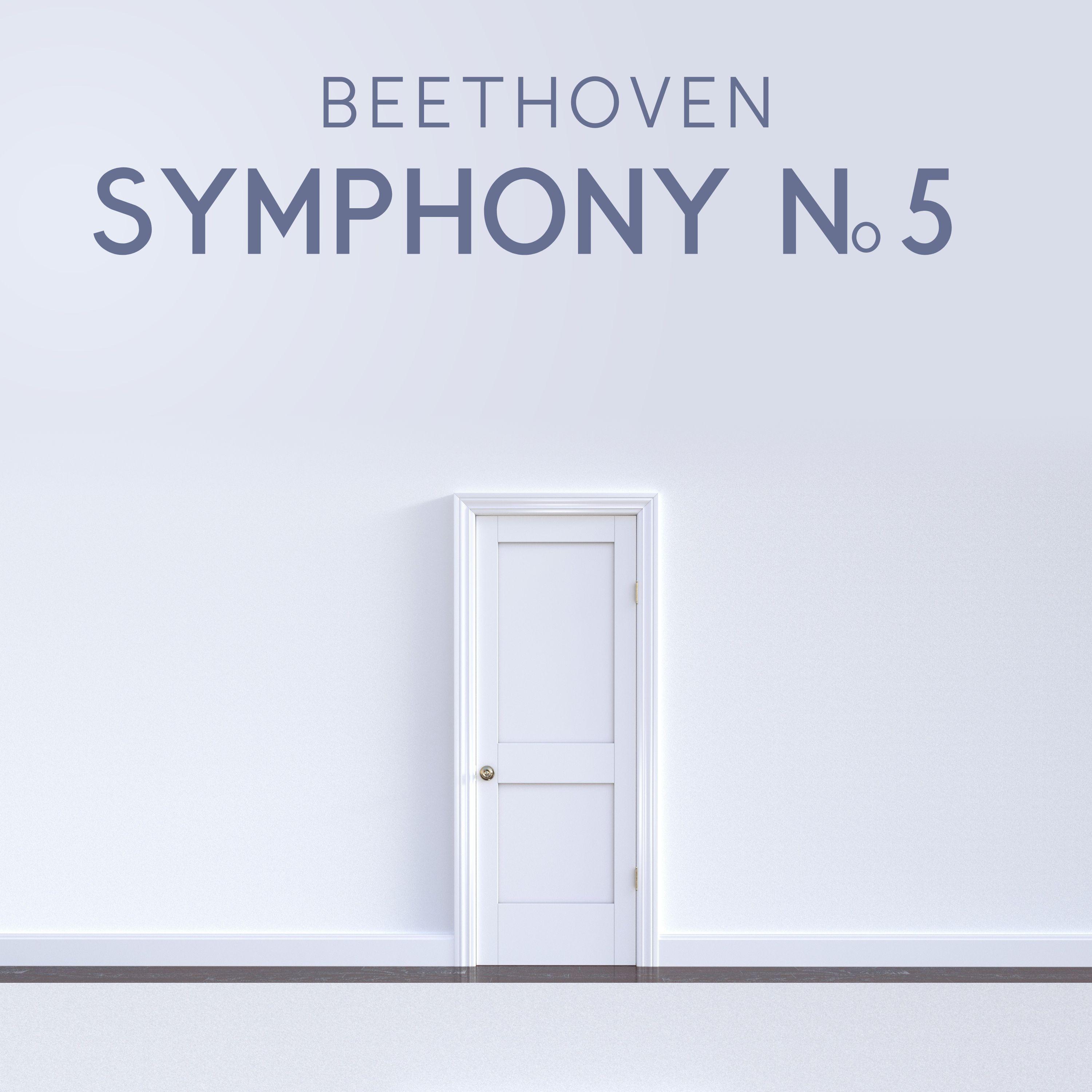 Постер альбома Symphony No. 5
