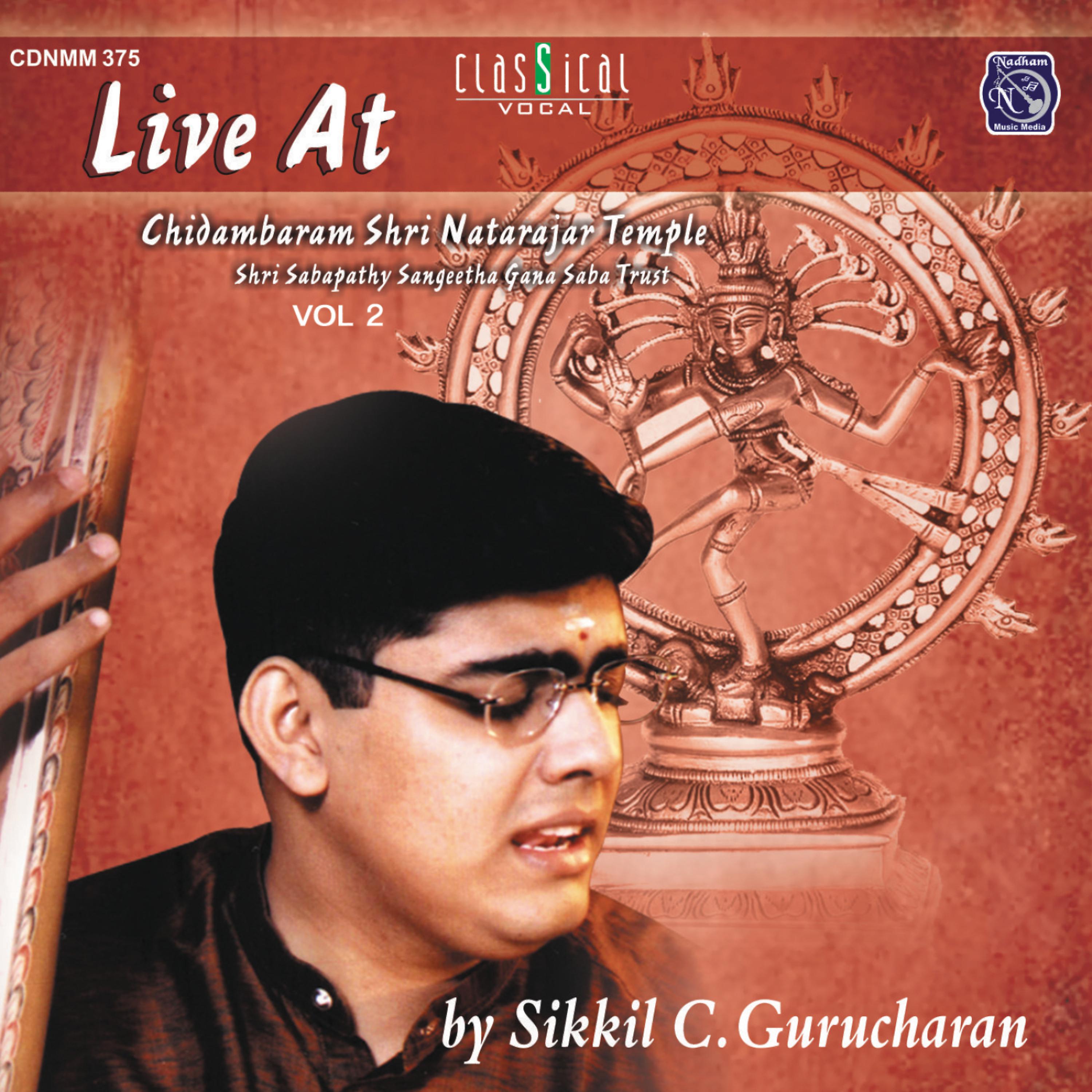 Постер альбома Live At Shri Nataraja Temple - Vol. 2.