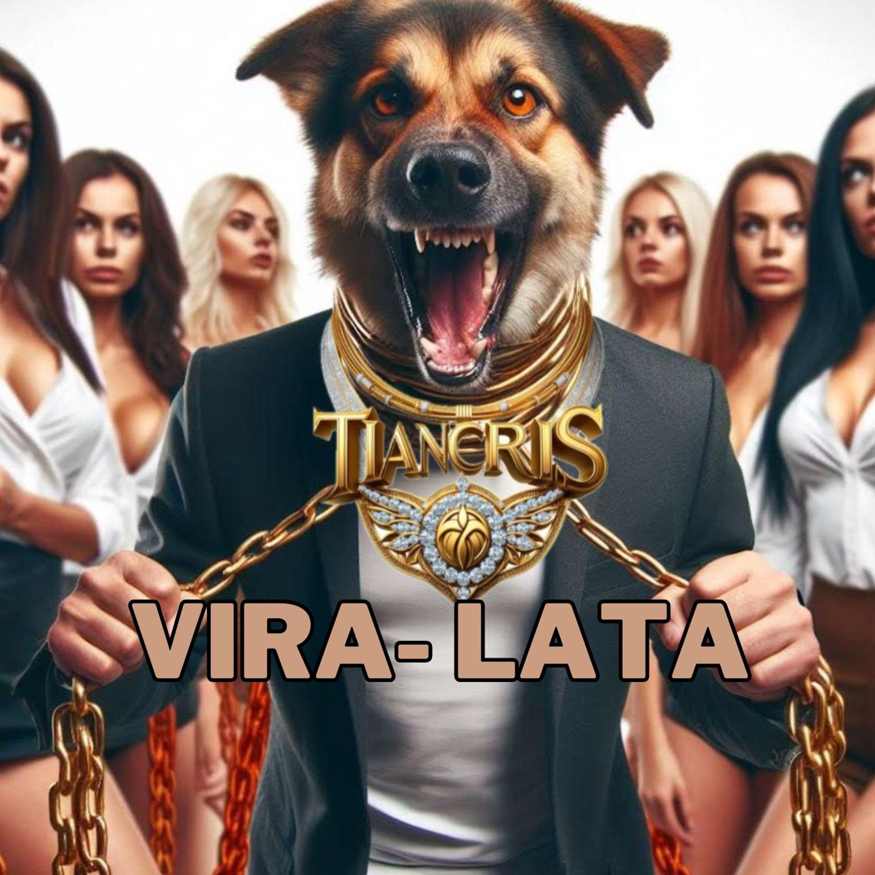 Постер альбома Vira-Lata