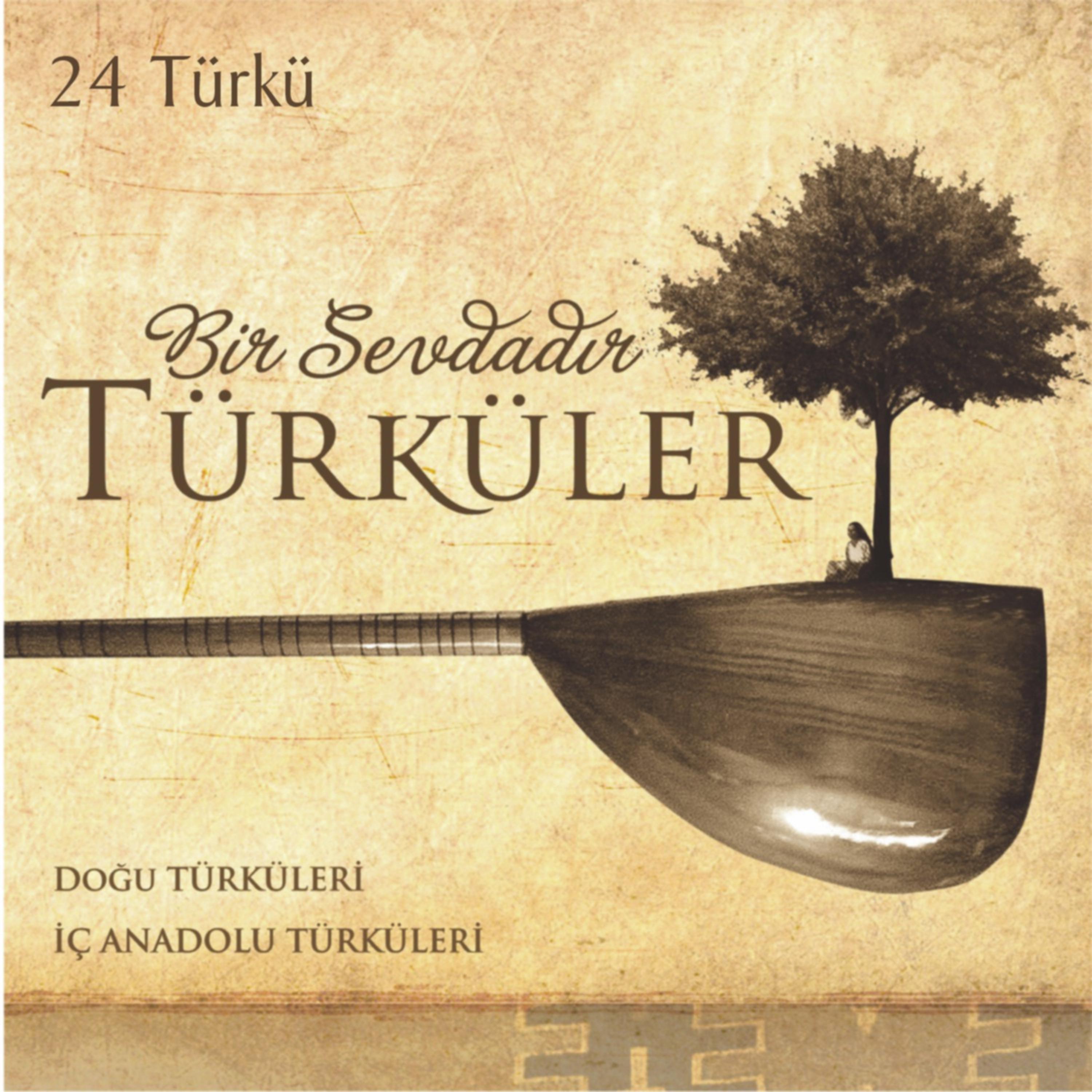 Постер альбома Bir Sevdadır Türküler: Doğu ve İç Anadolu Türküleri
