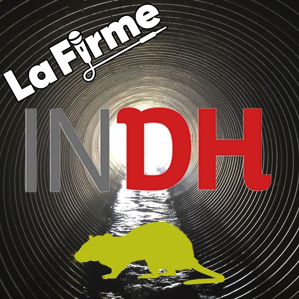 Постер альбома INDH