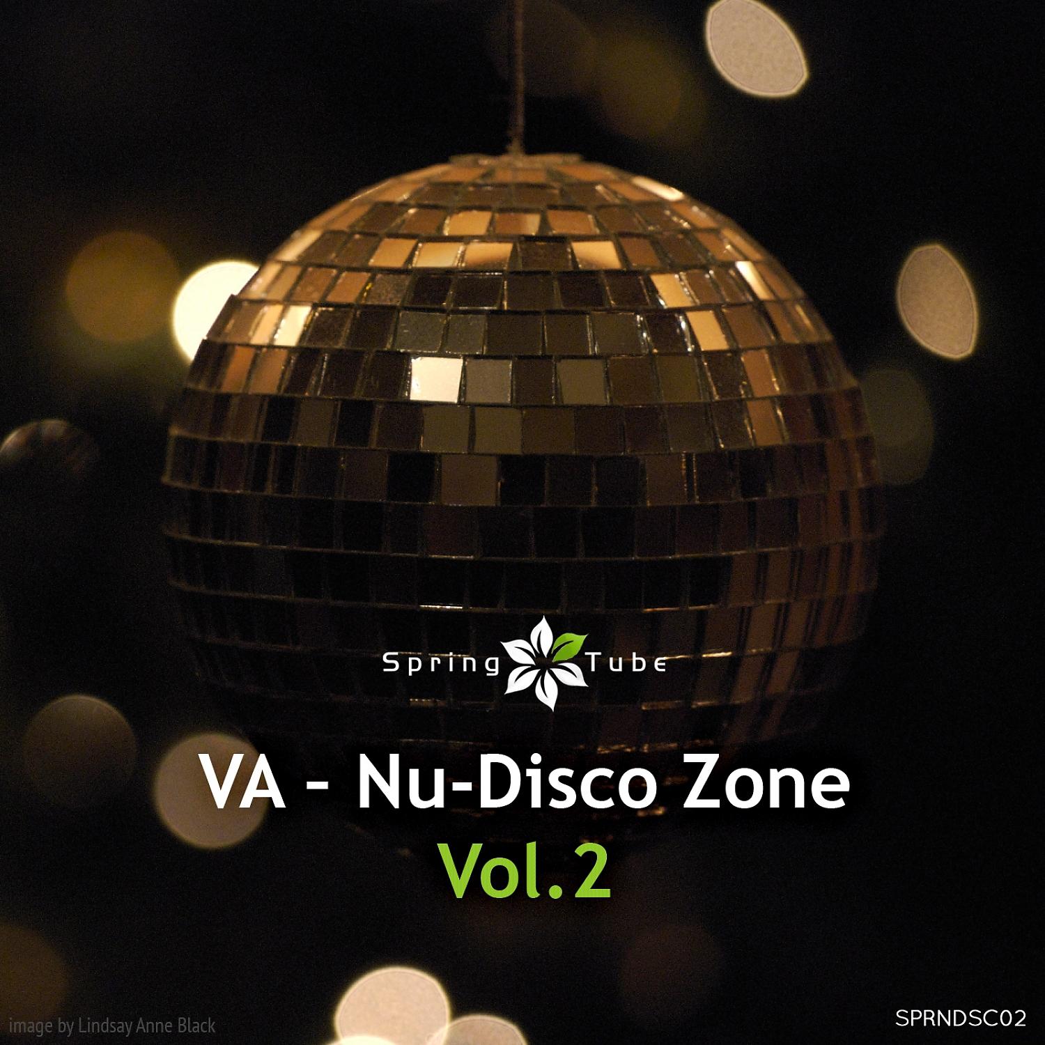 Постер альбома Nu-Disco Zone, Vol. 2