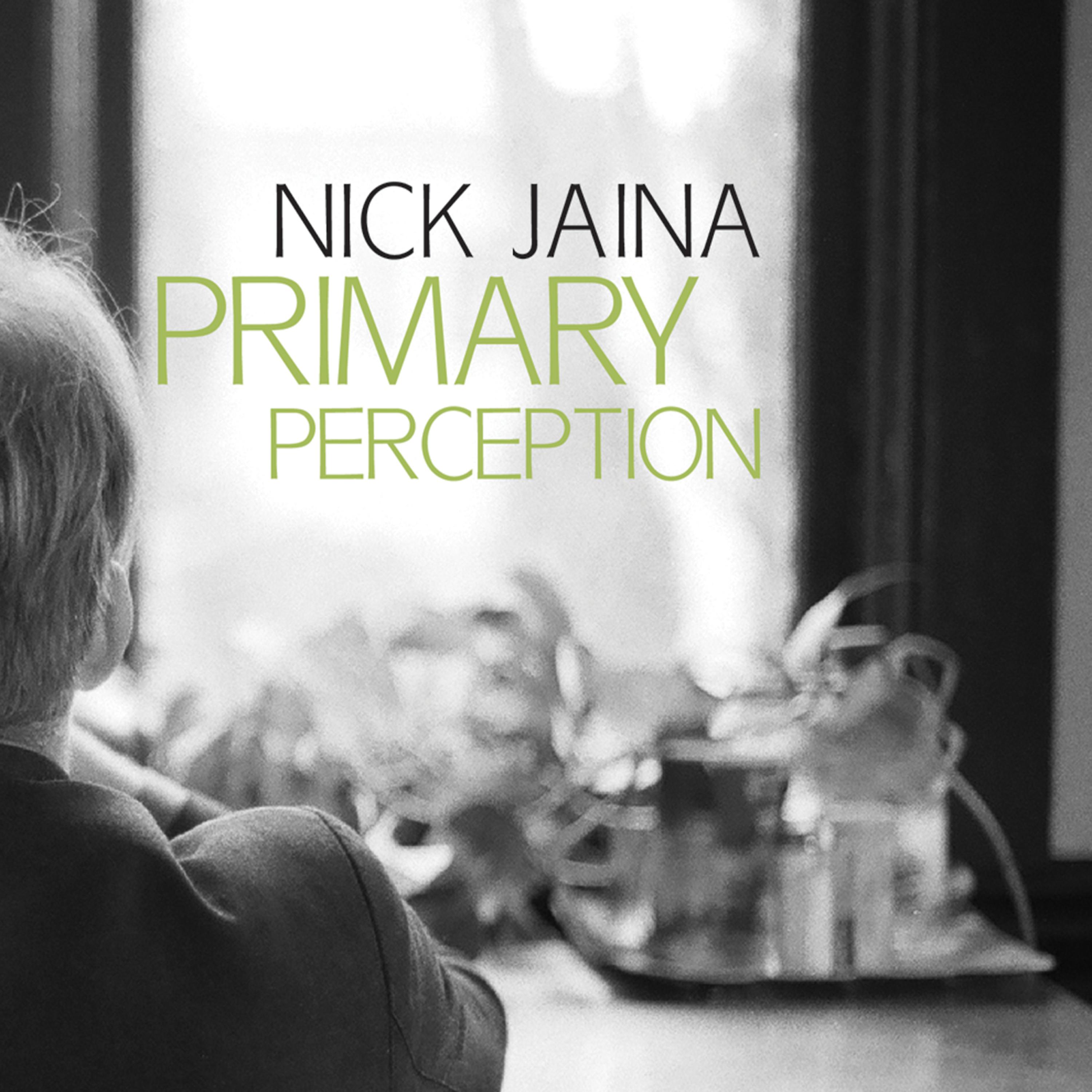 Постер альбома Primary Perception