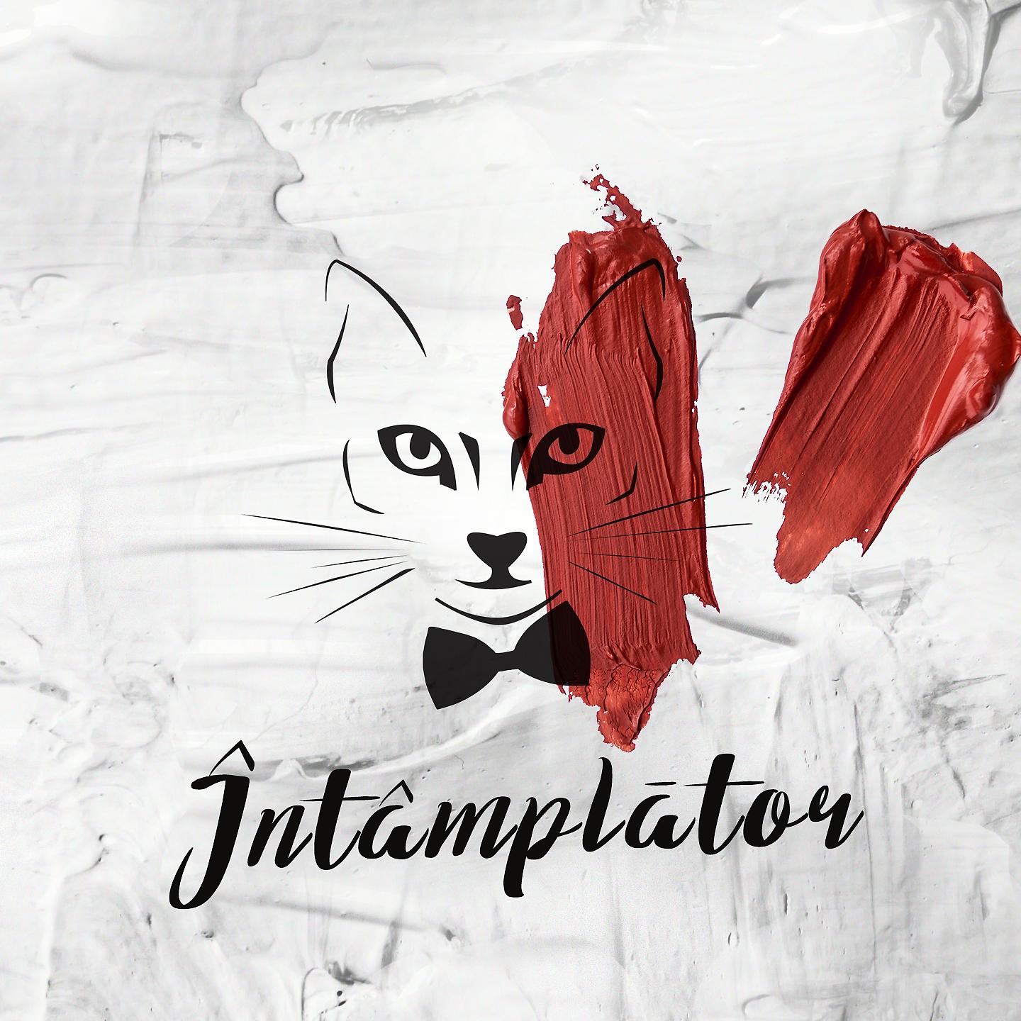 Постер альбома Intamplator