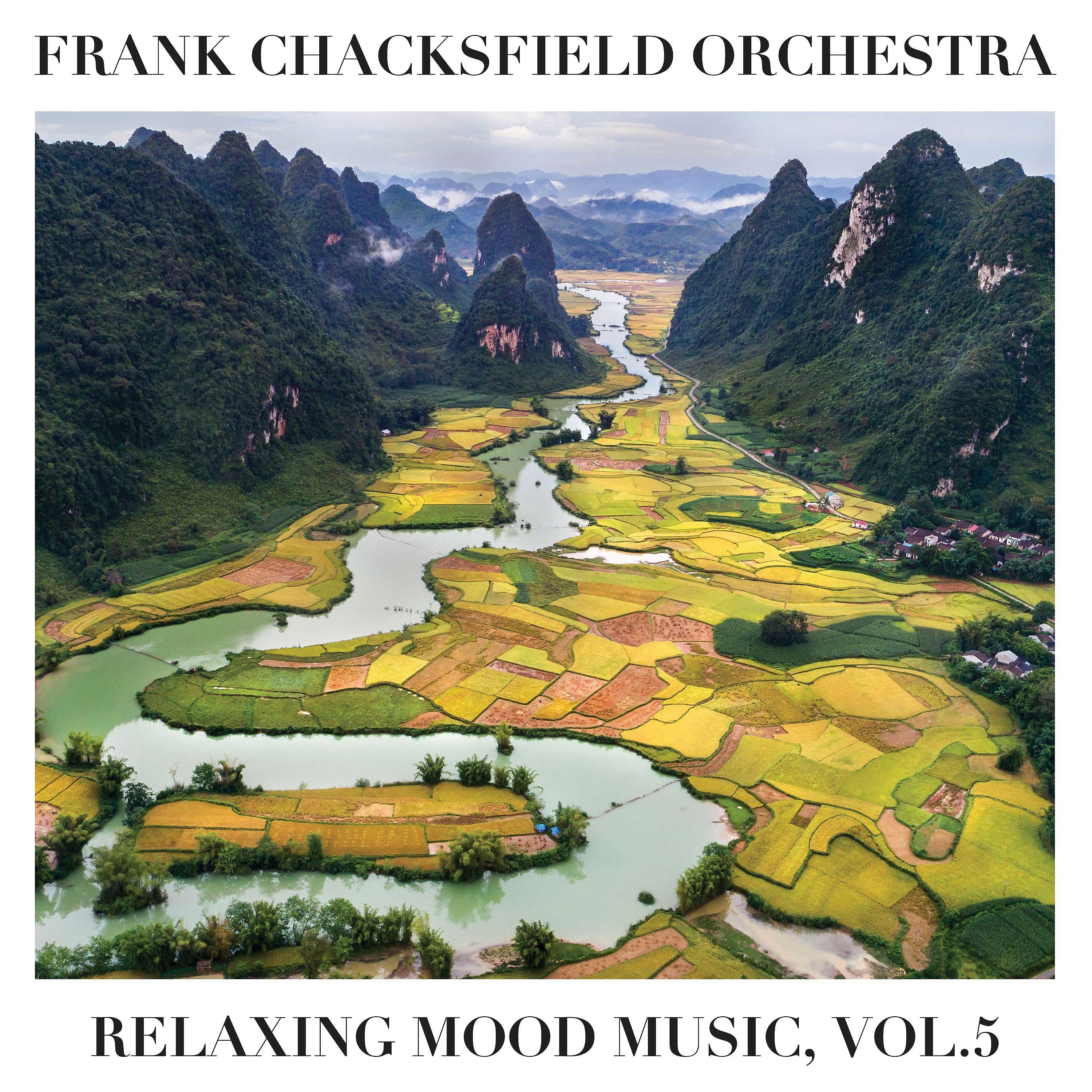 Постер альбома Relaxing Mood Music, Vol. 5