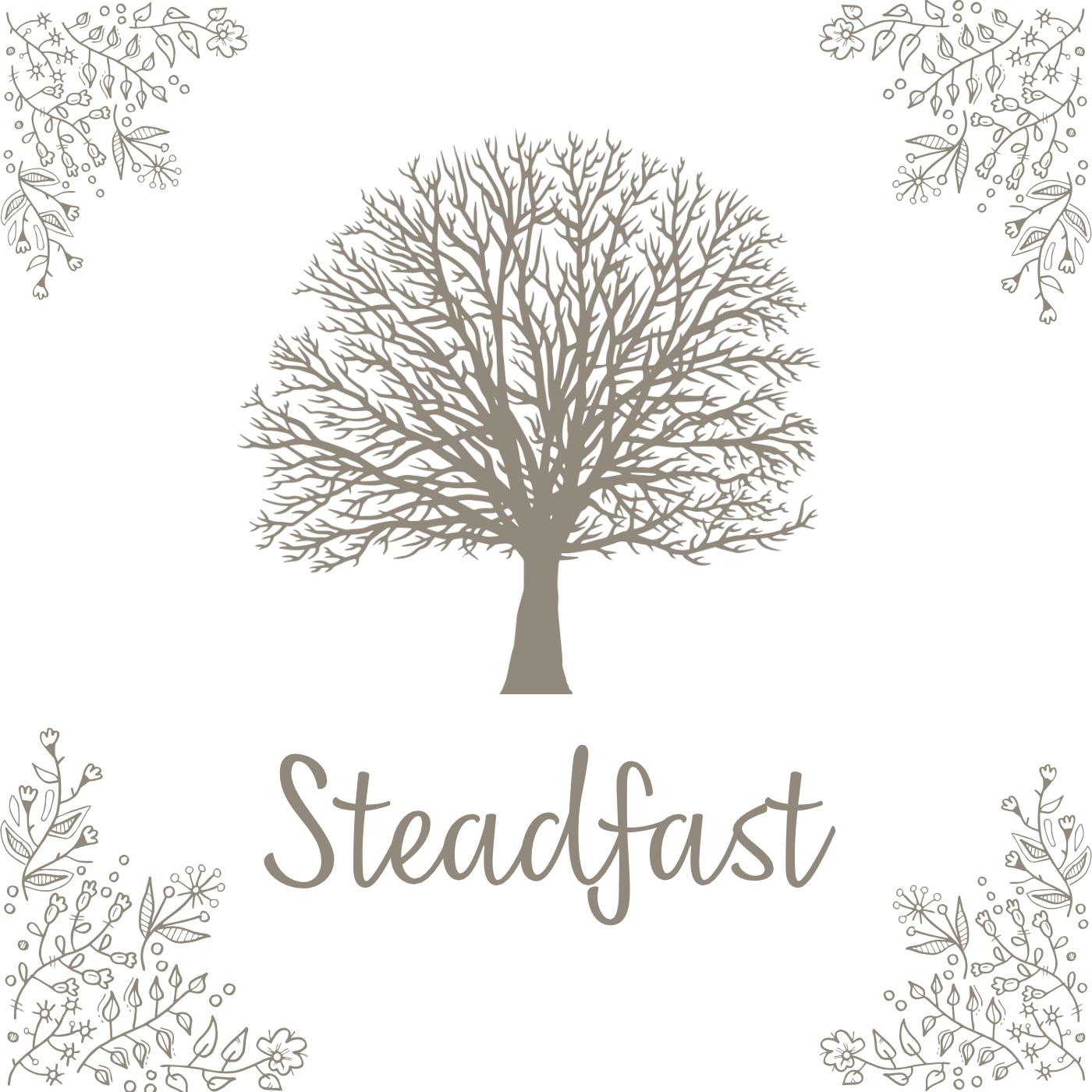 Постер альбома Steadfast