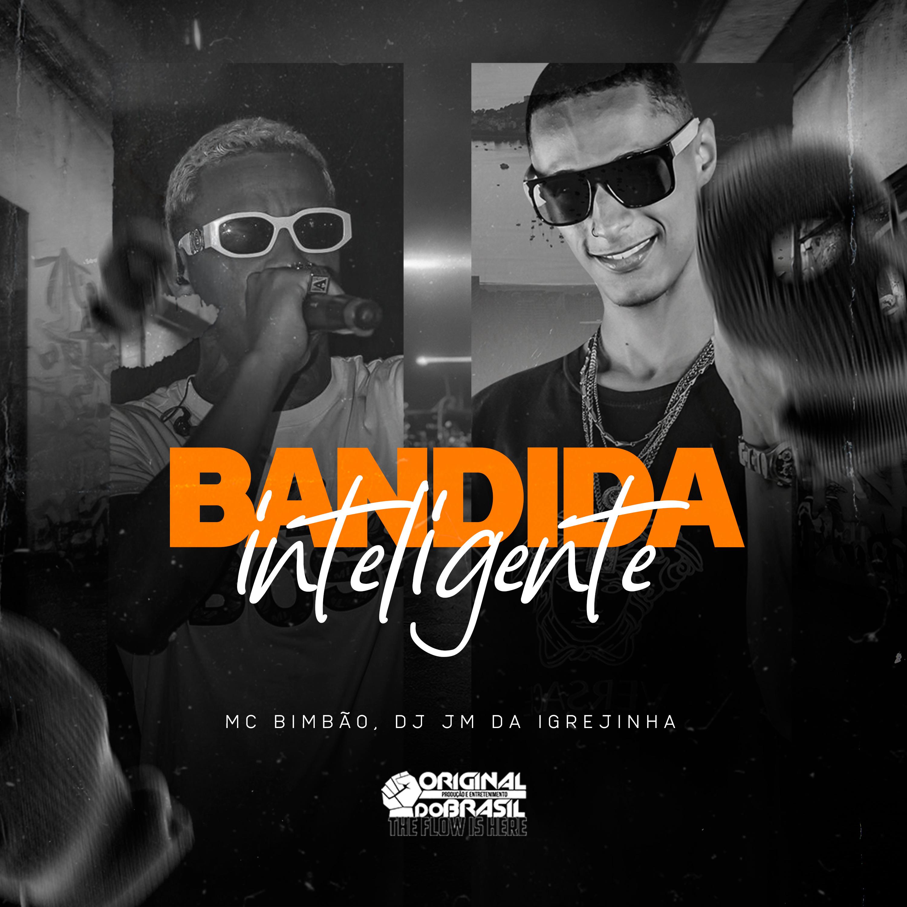 Постер альбома Bandida Inteligente