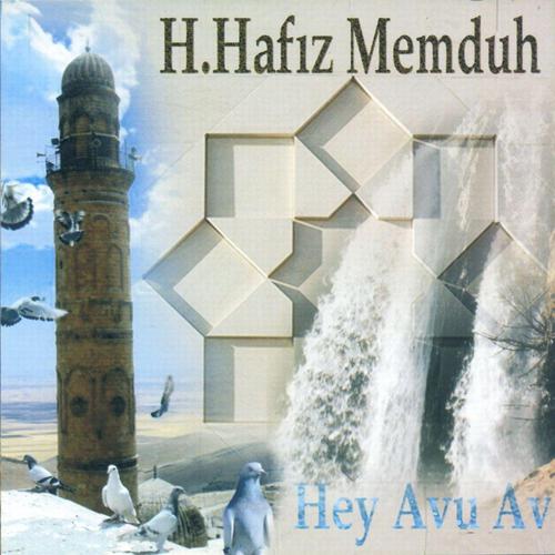 Постер альбома Hey Avu Av