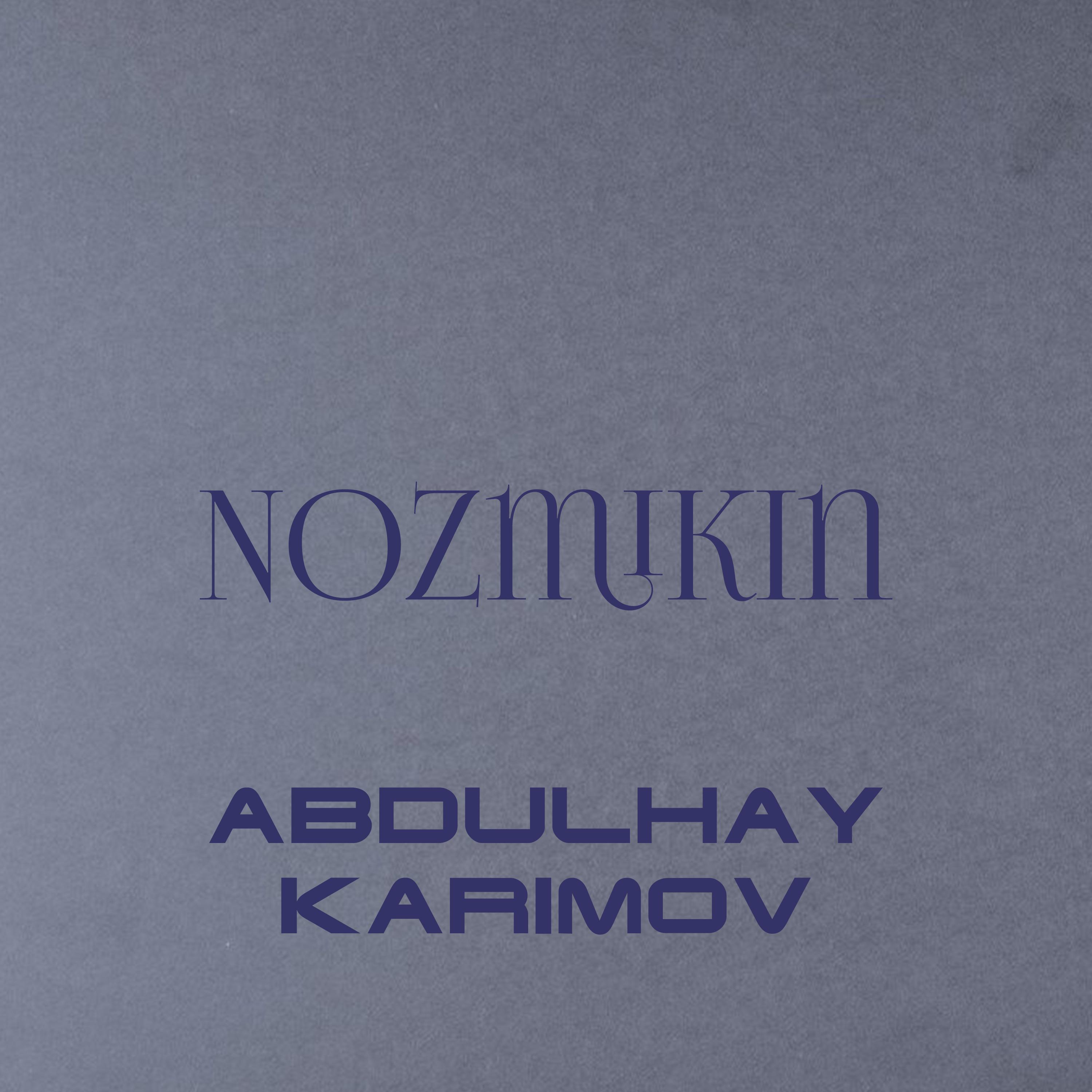 Постер альбома Nozmikin